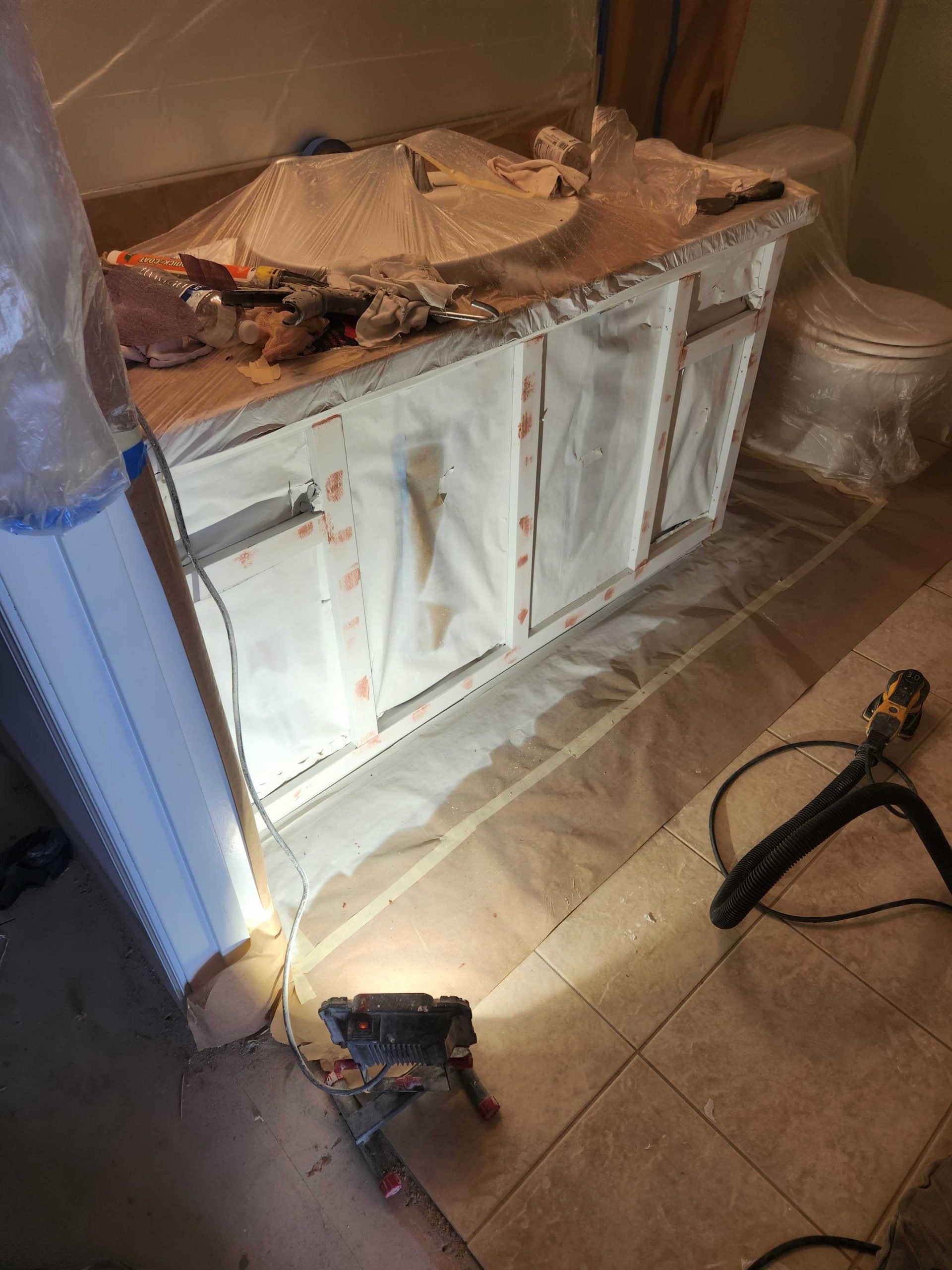 davida-painting-img207