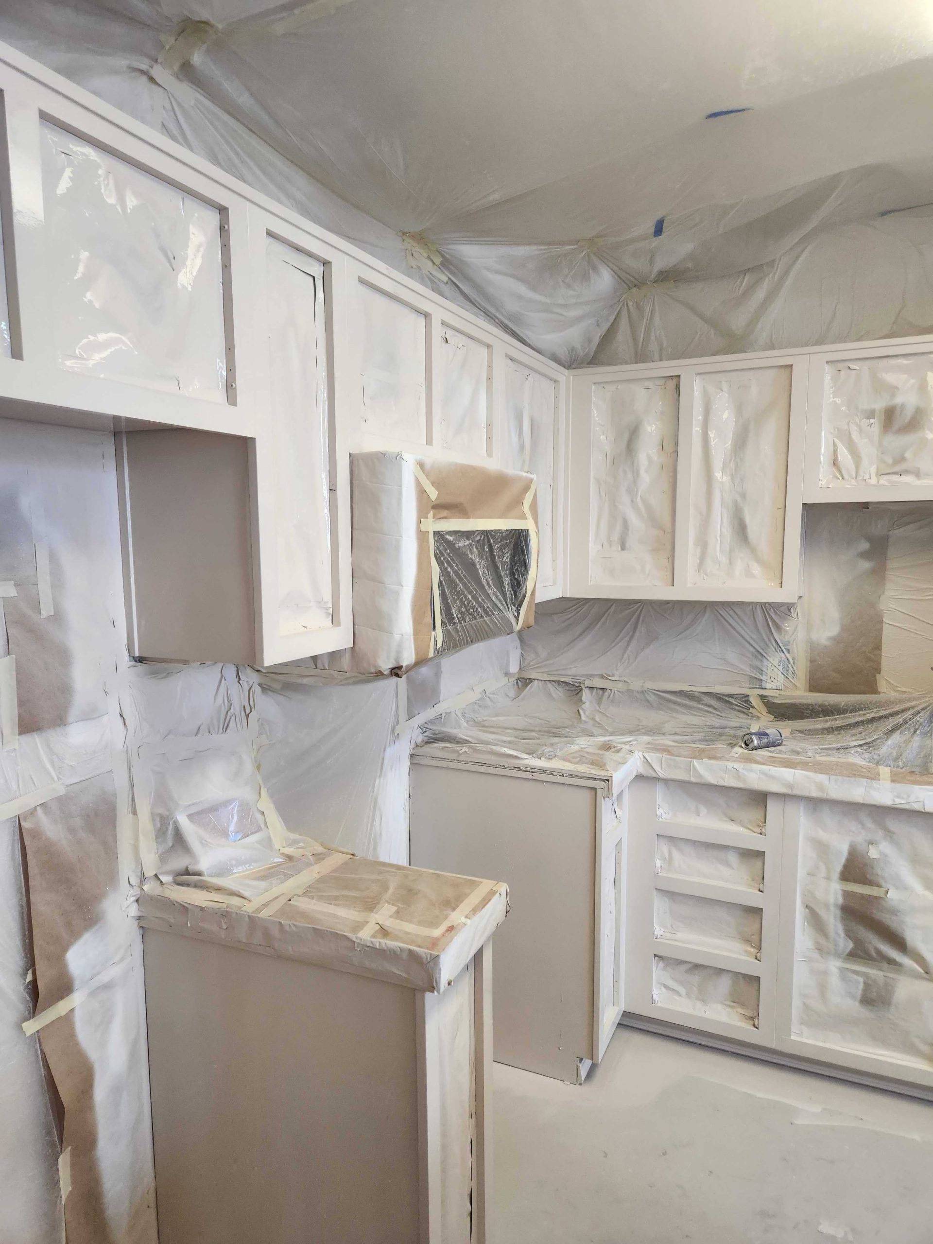 davida-painting-img208