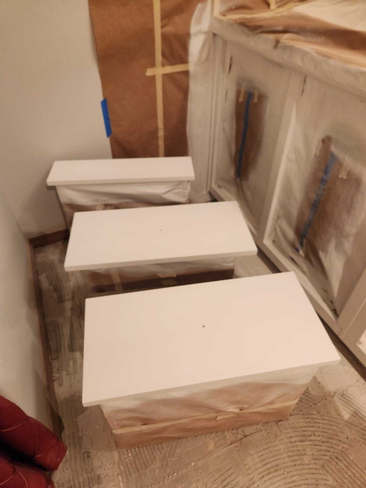 davida-painting-img206