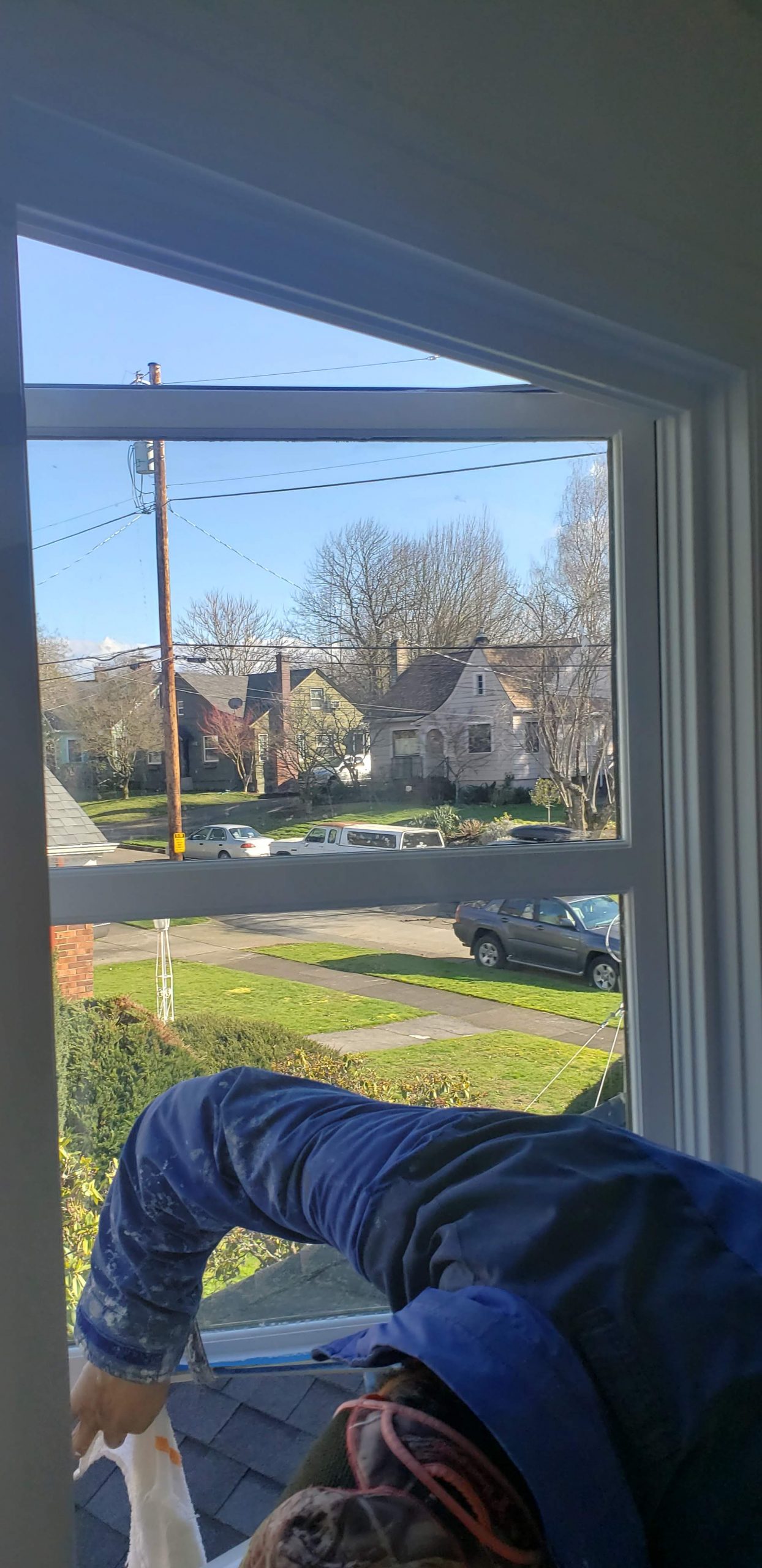 davida-painting-img195