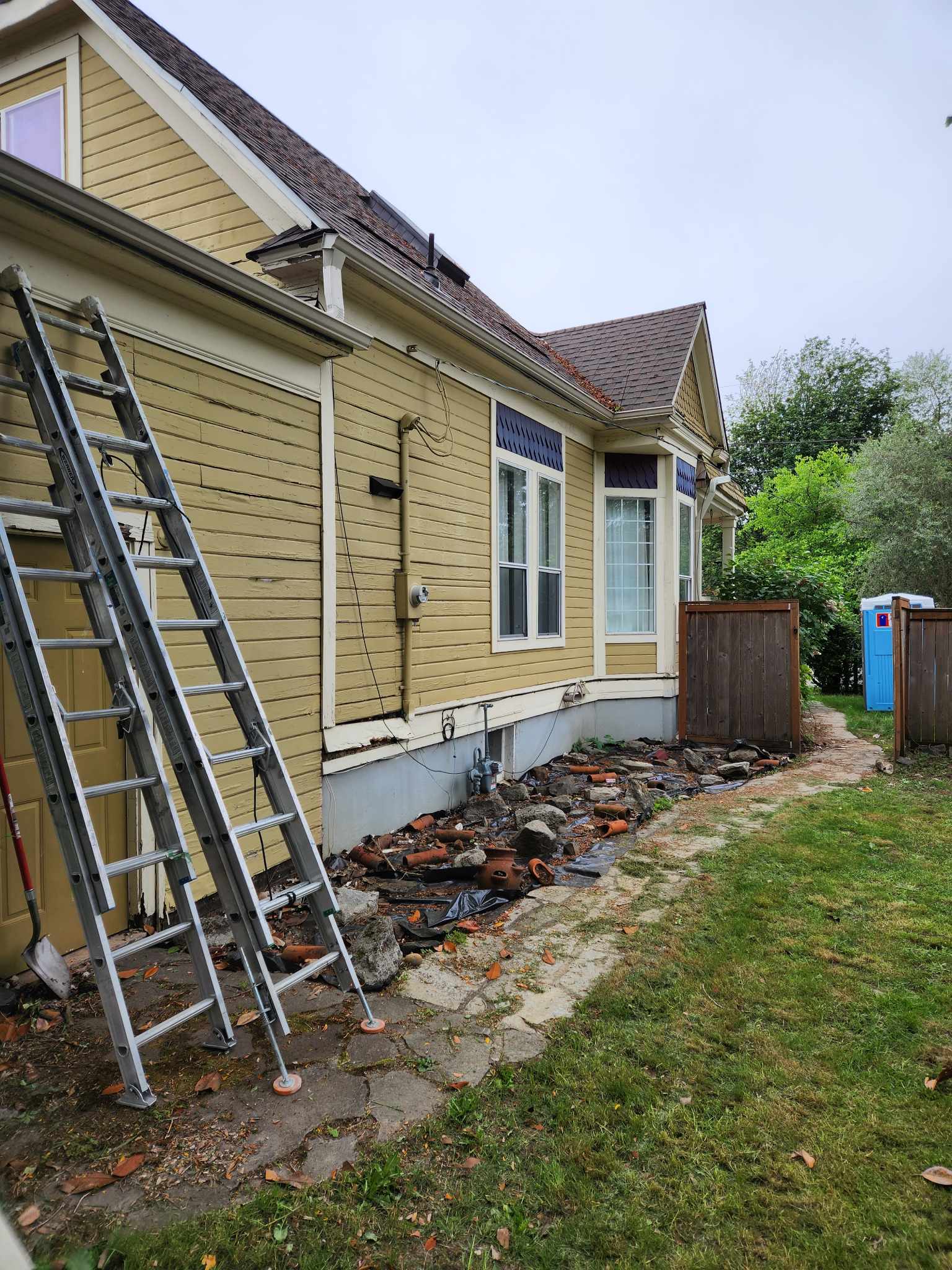 davida-painting-img162