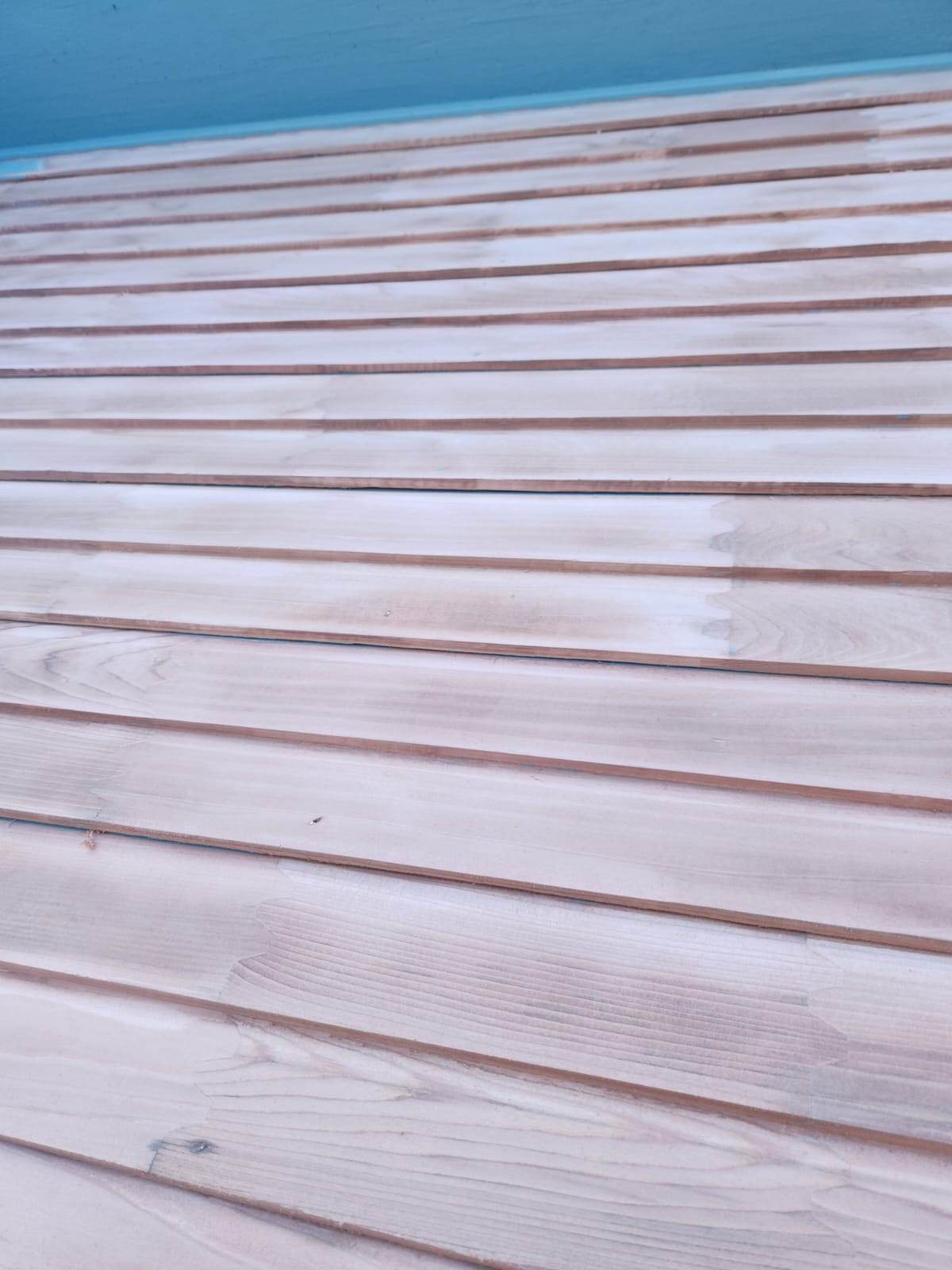 davida-painting-img157