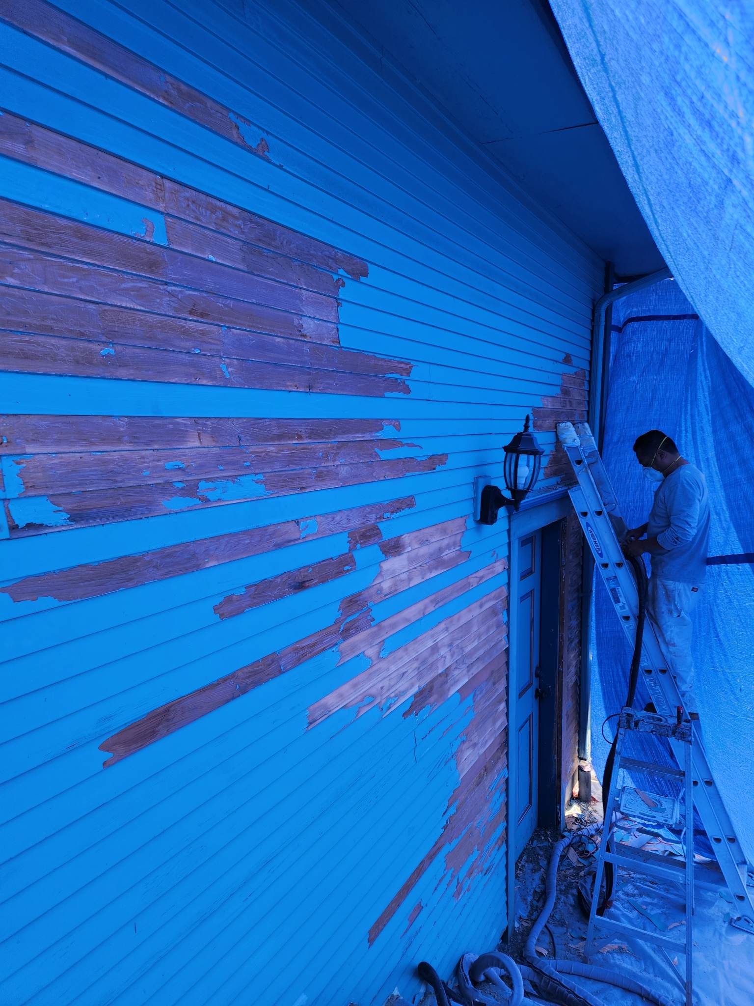 davida-painting-img146