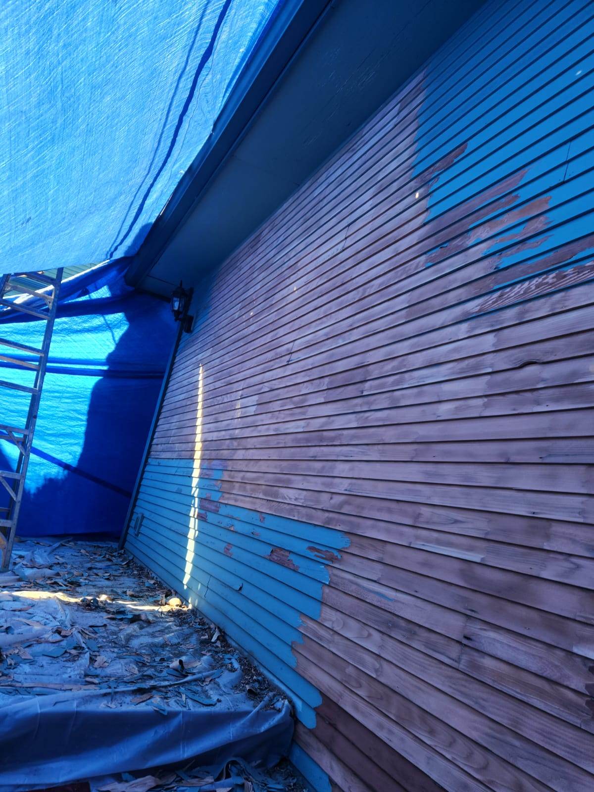 davida-painting-img147