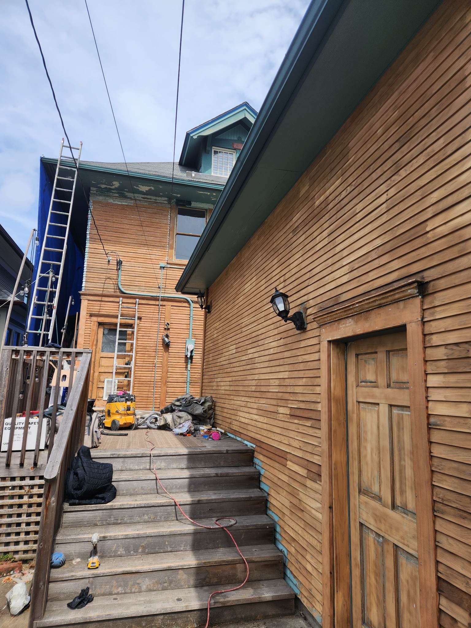 davida-painting-img150