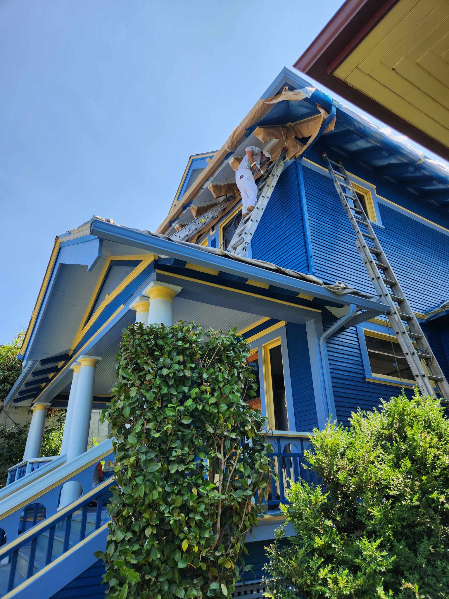 davida-painting-img148