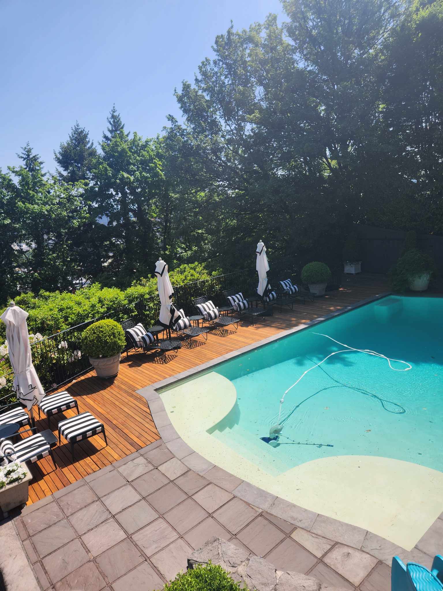 davida-painting-img149