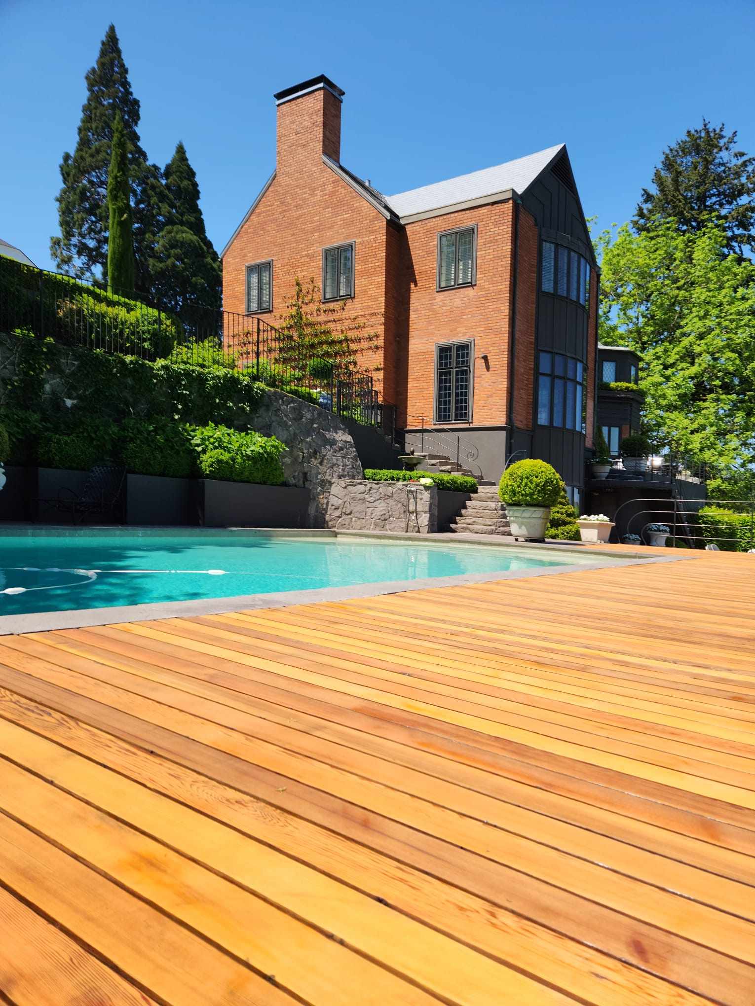 davida-painting-img152