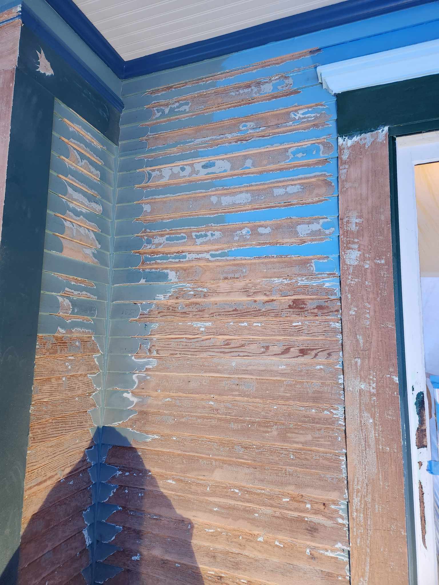 davida-painting-img140