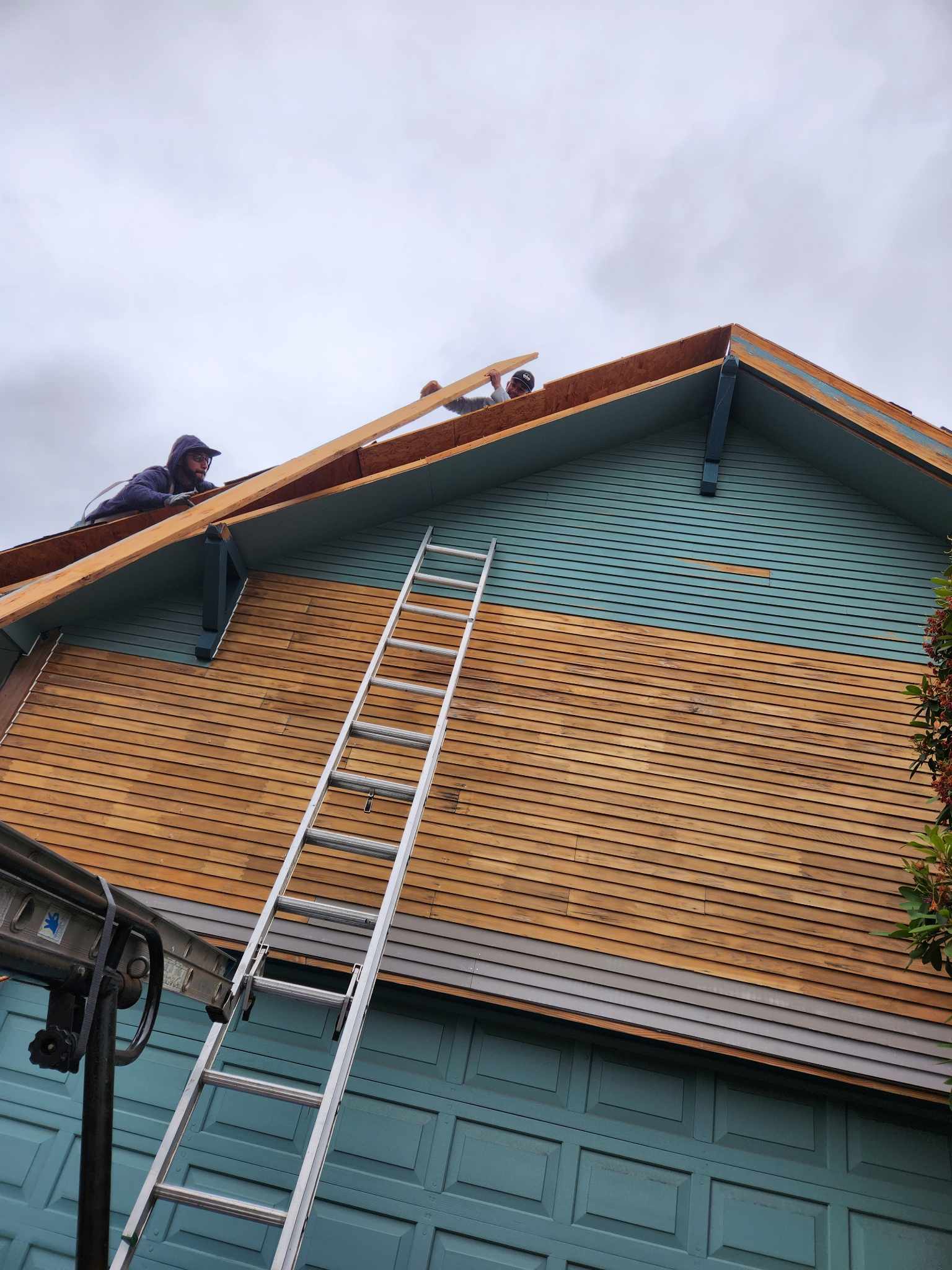 davida-painting-img139