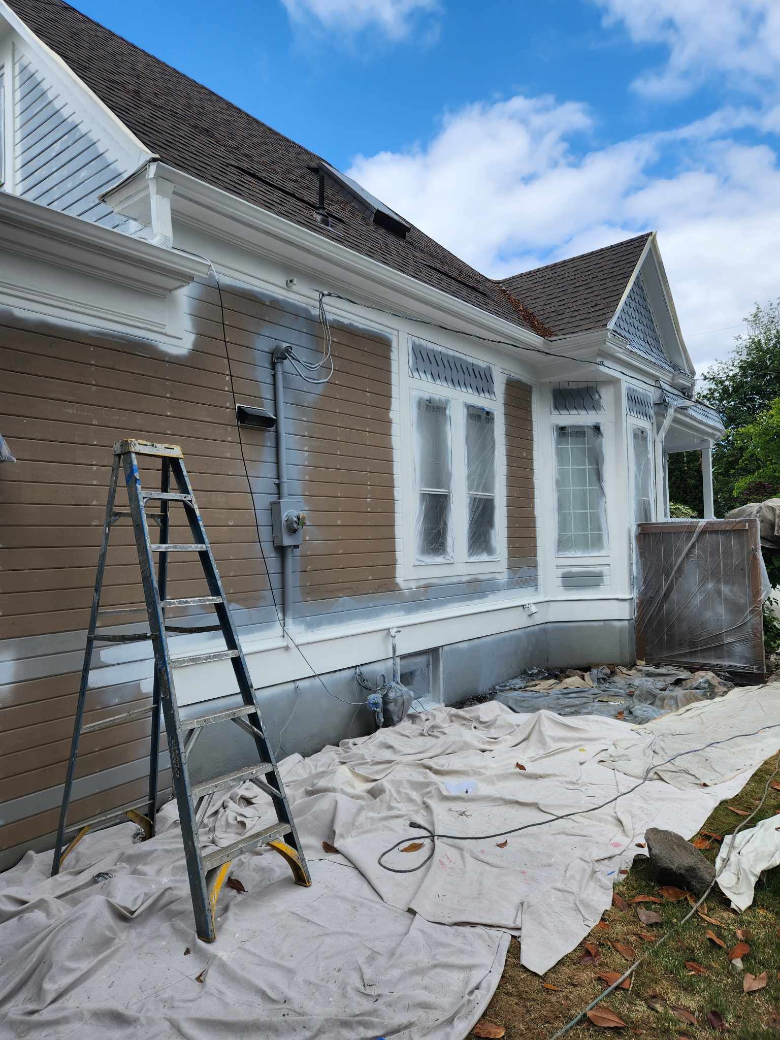 davida-painting-img138