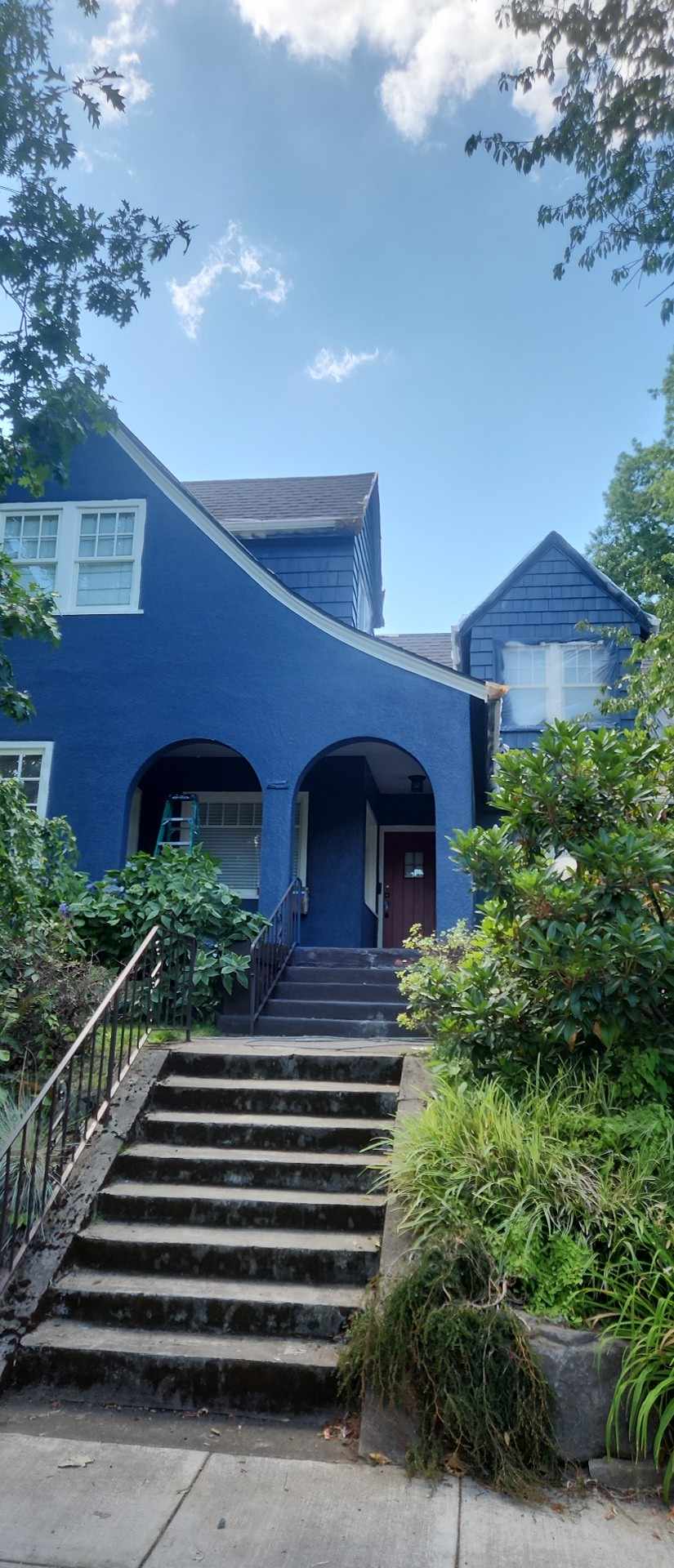 davida-painting-img134