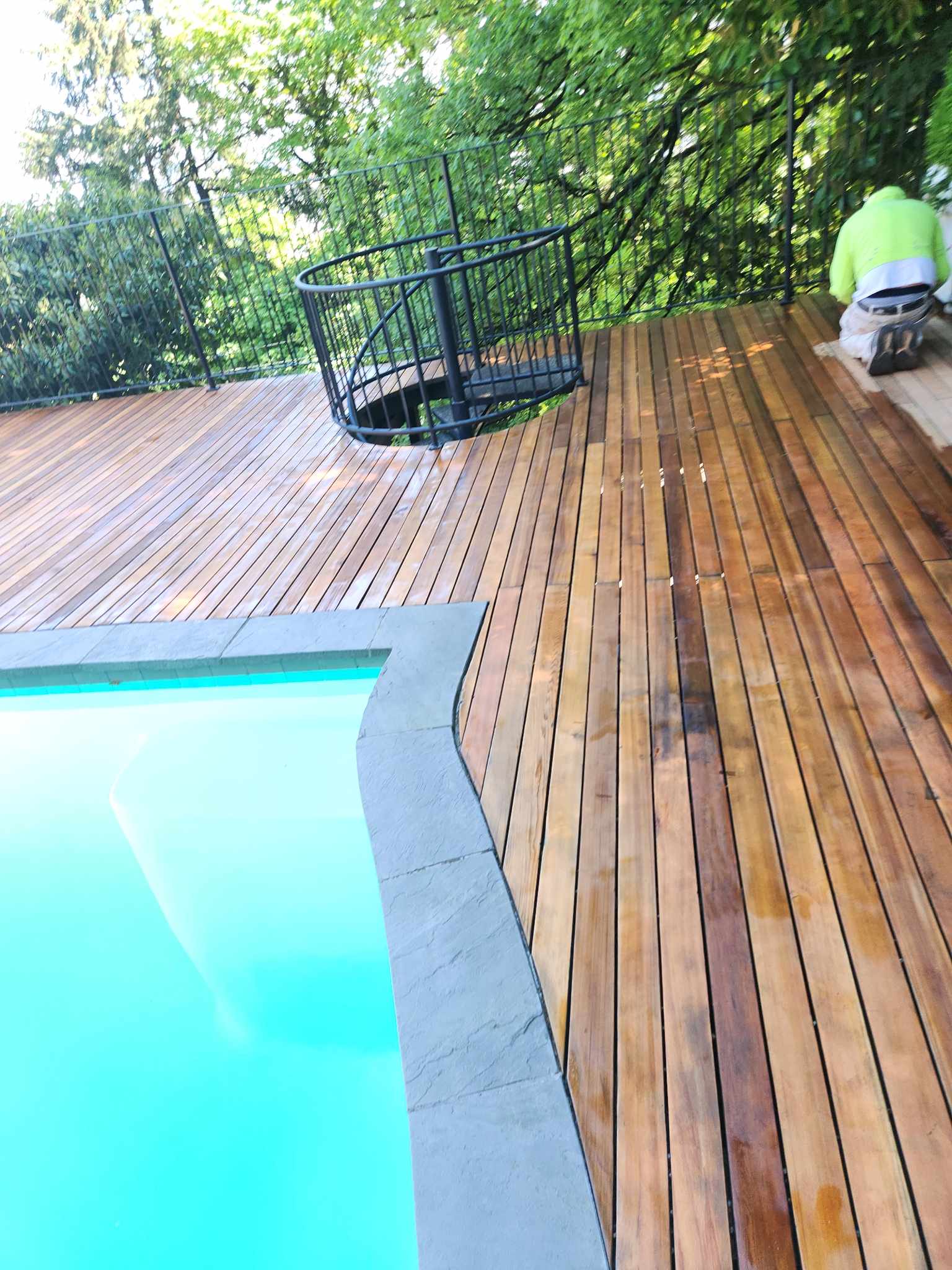 davida-painting-img125