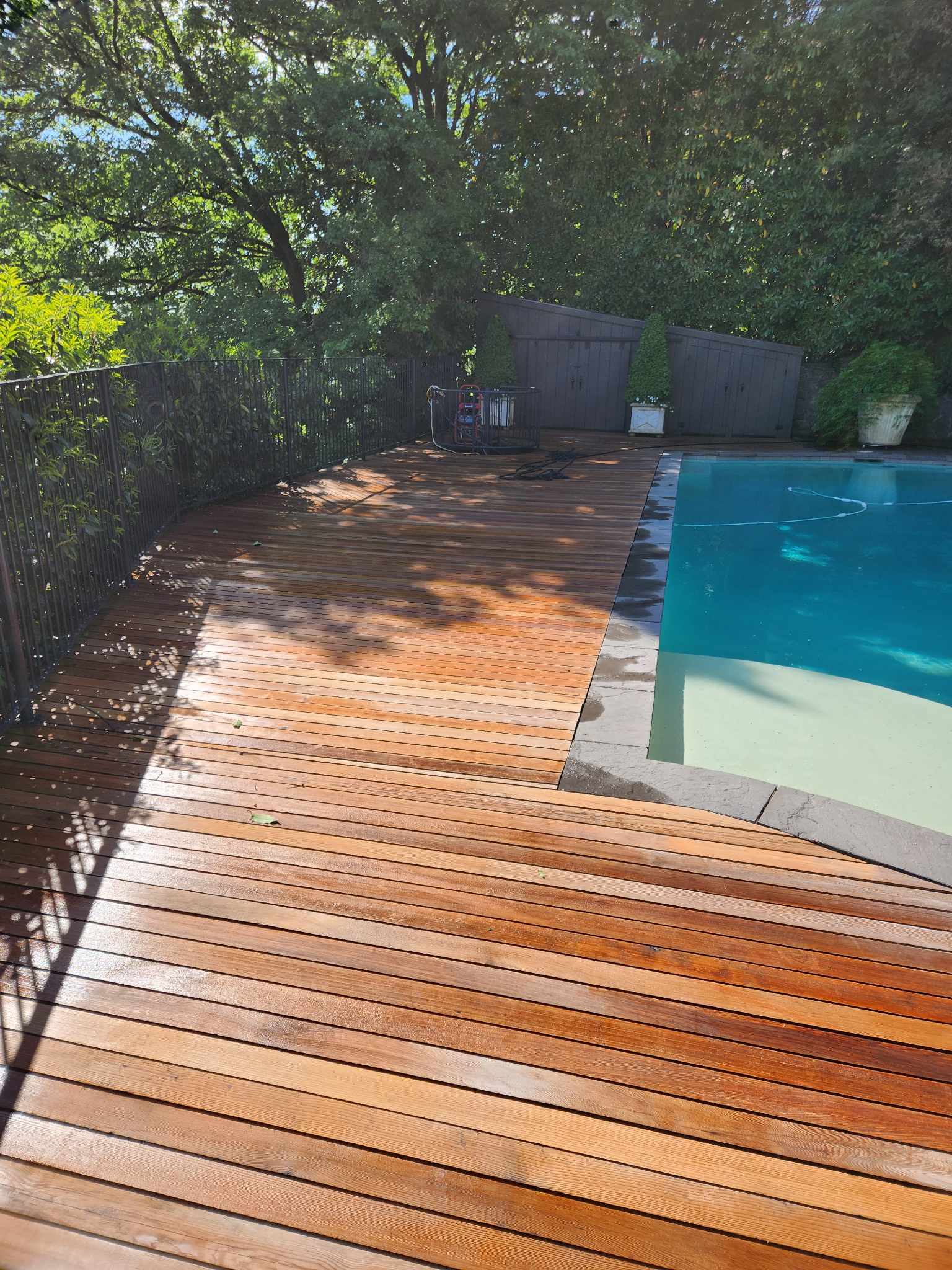 davida-painting-img126