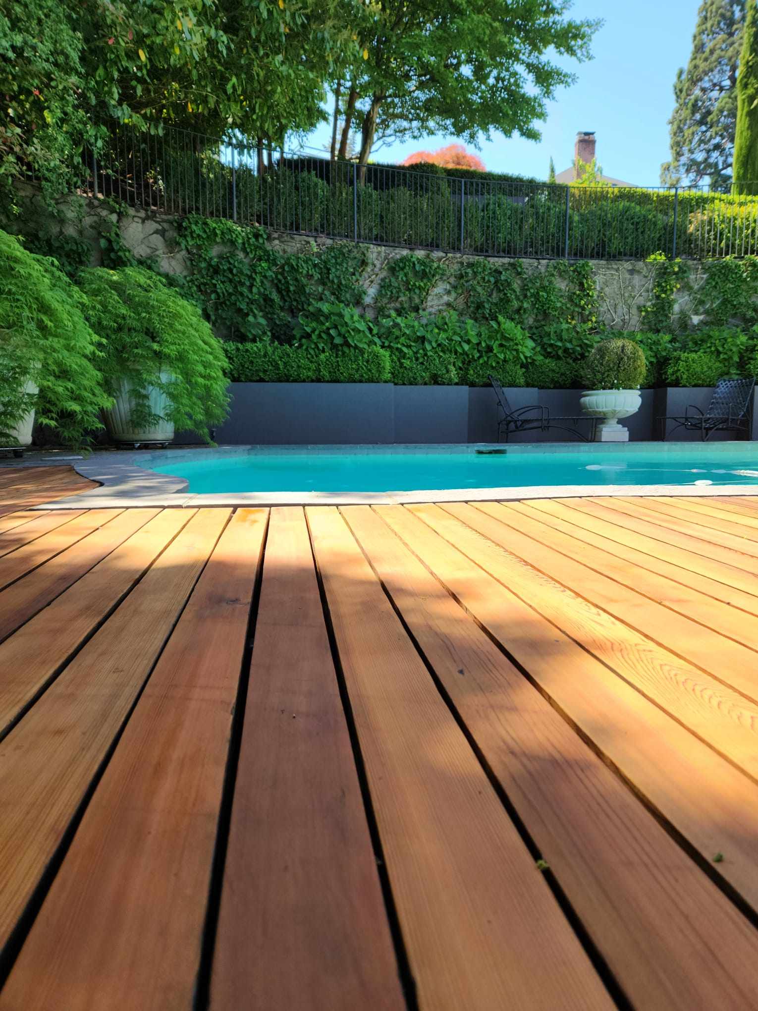 davida-painting-img130