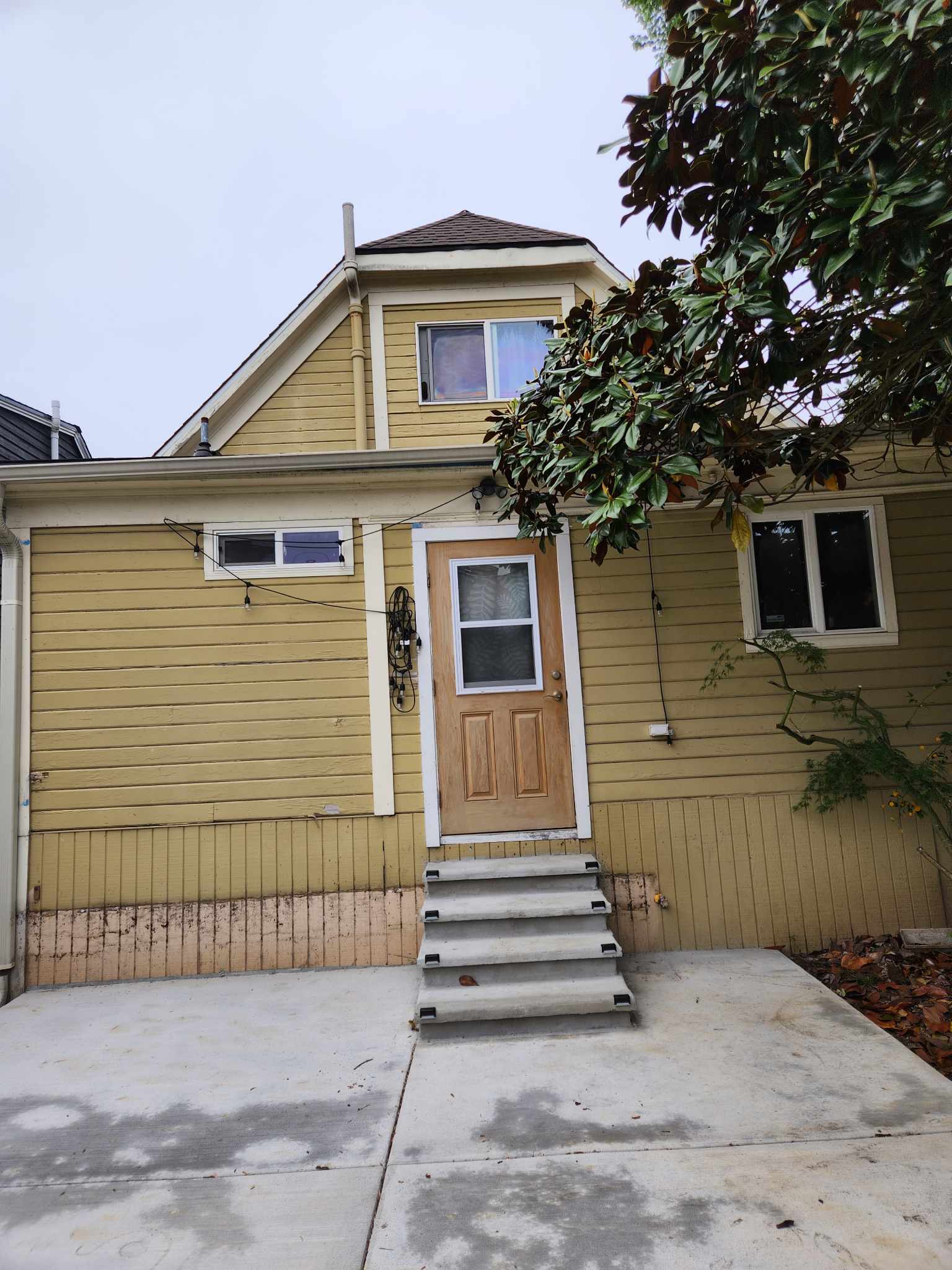 davida-painting-img133