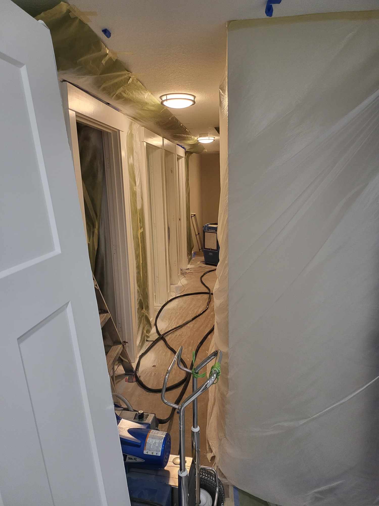 davida-painting-img219