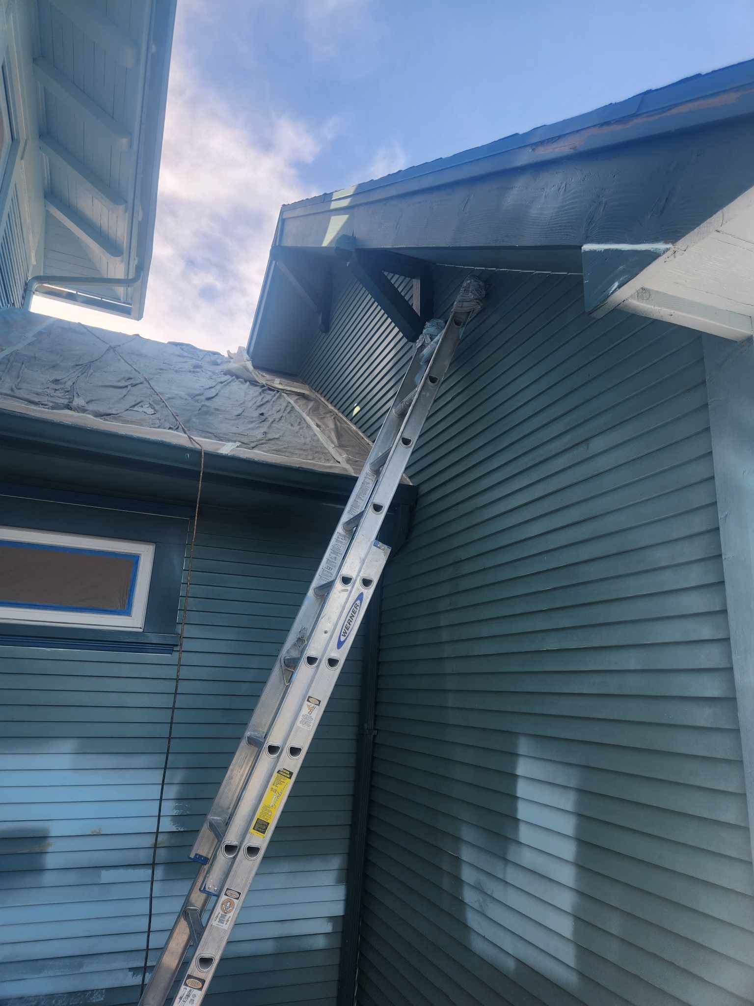 davida-painting-img123