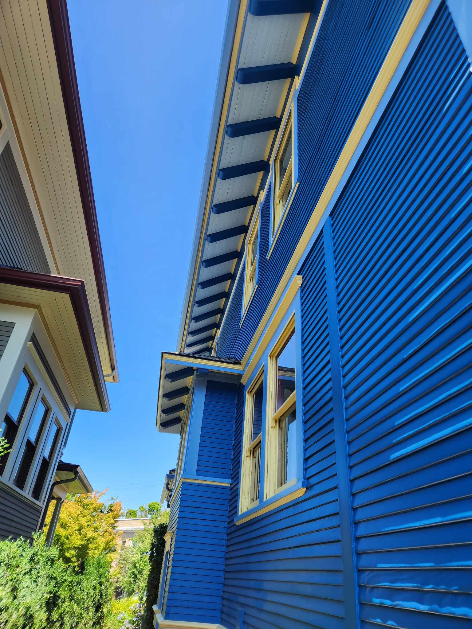 davida-painting-img118