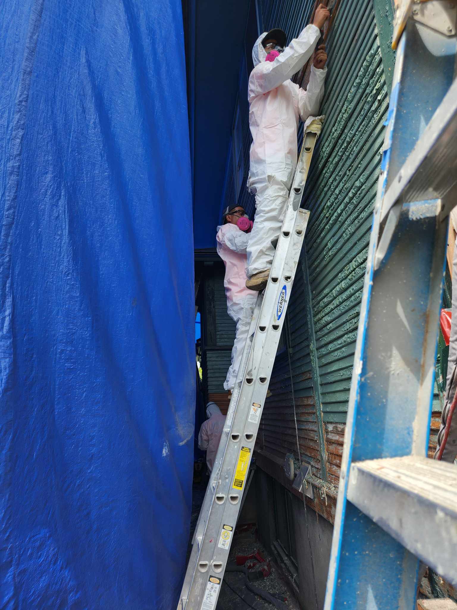 davida-painting-img107