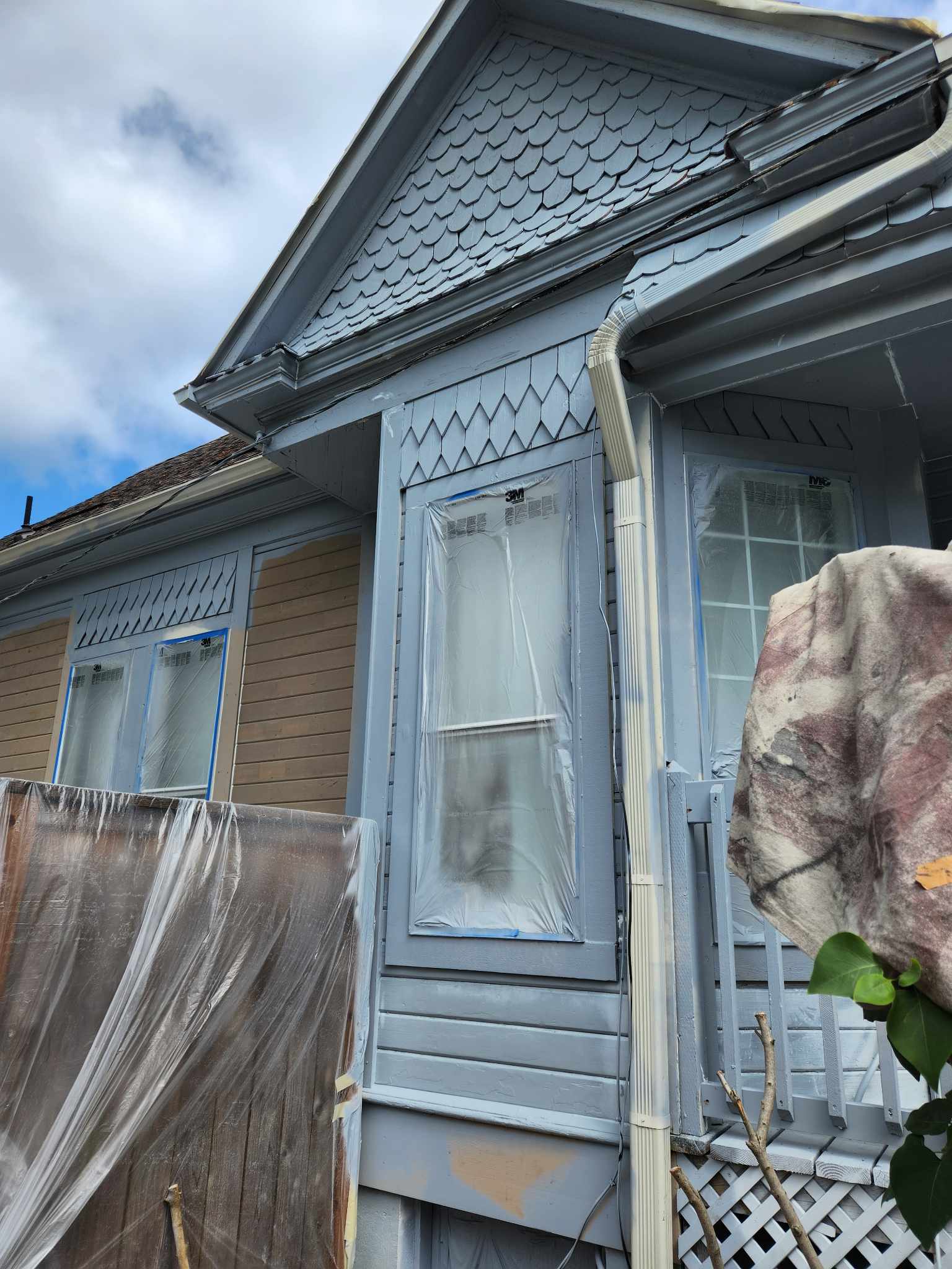 davida-painting-img110