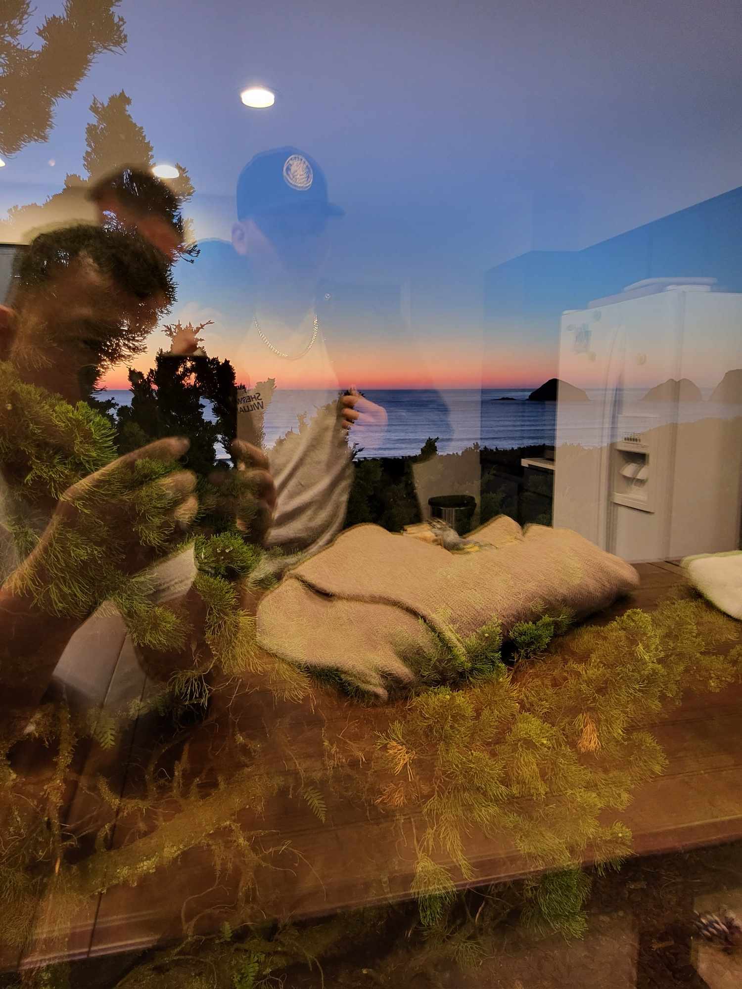 davida-painting-img221