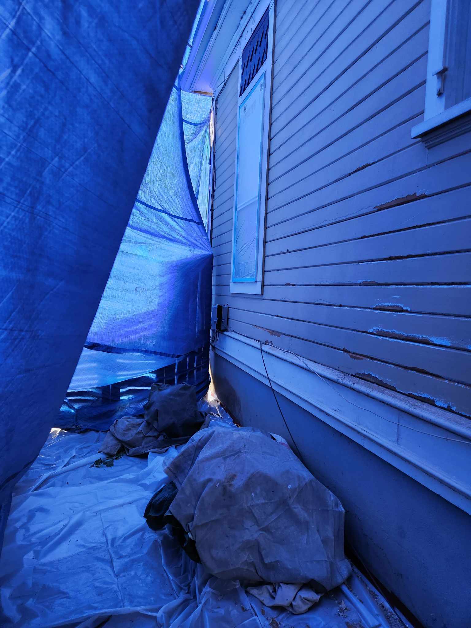 davida-painting-img111