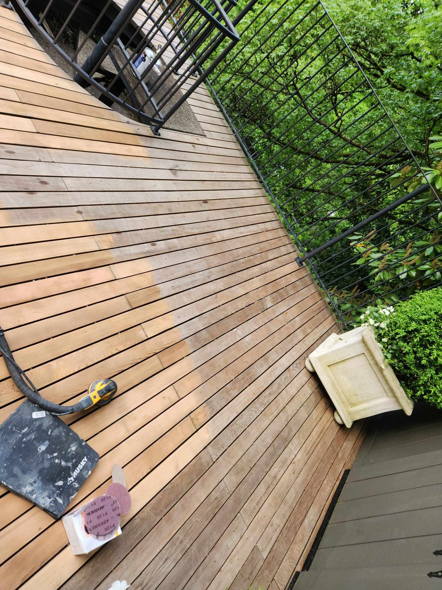 davida-painting-img100