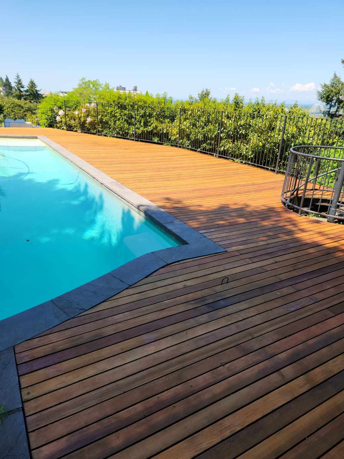 davida-painting-img99