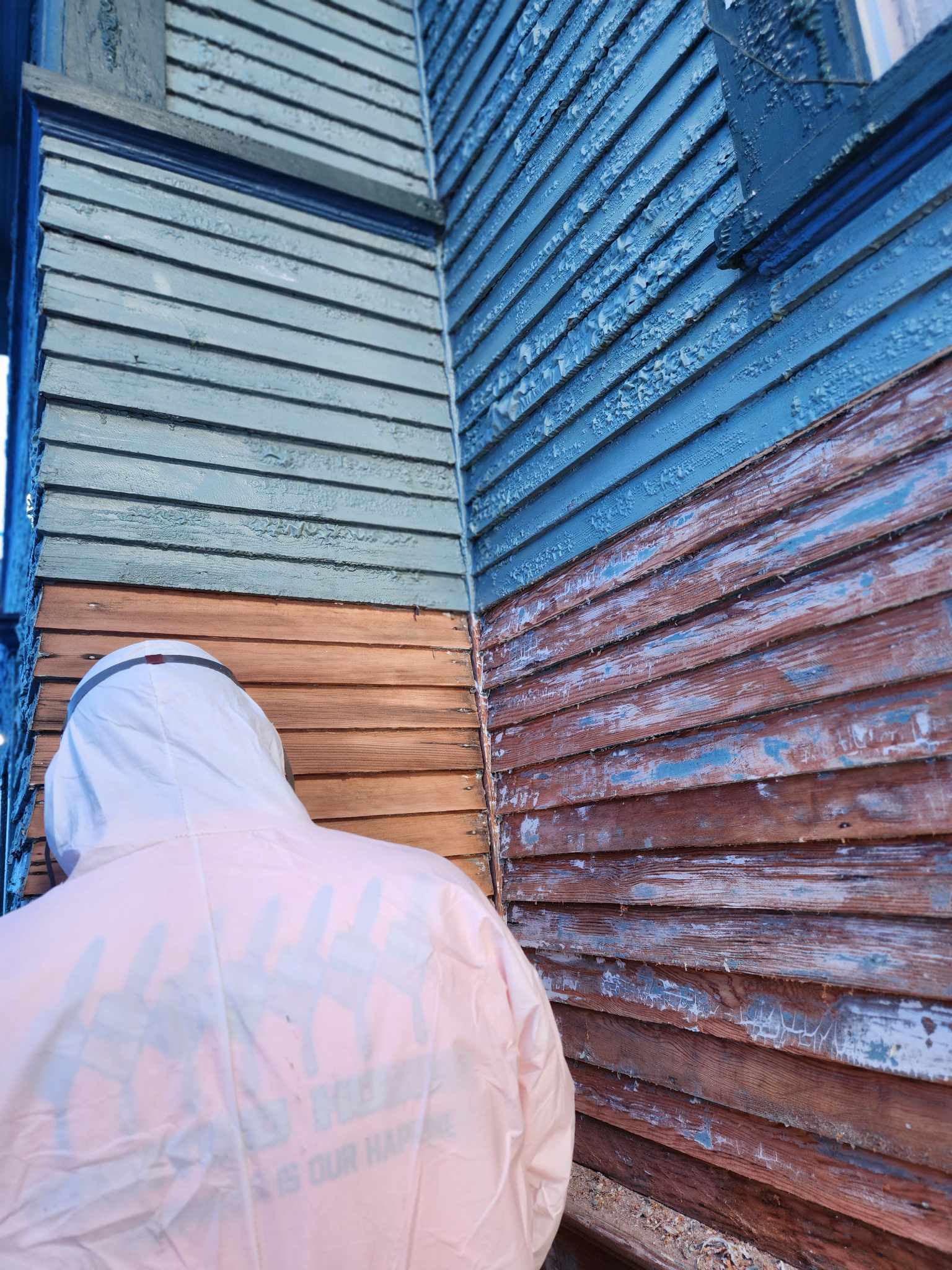 davida-painting-img89