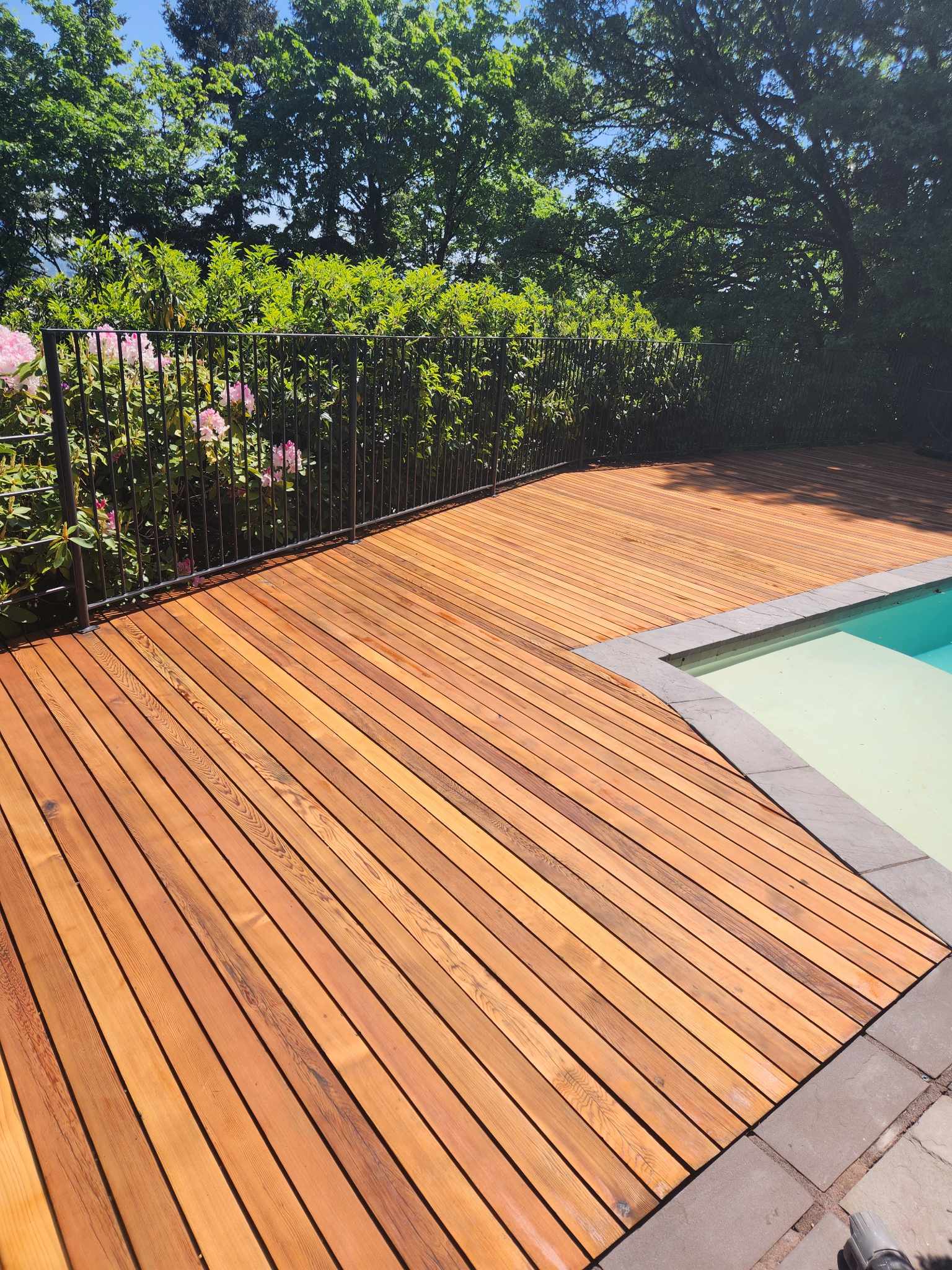 davida-painting-img91