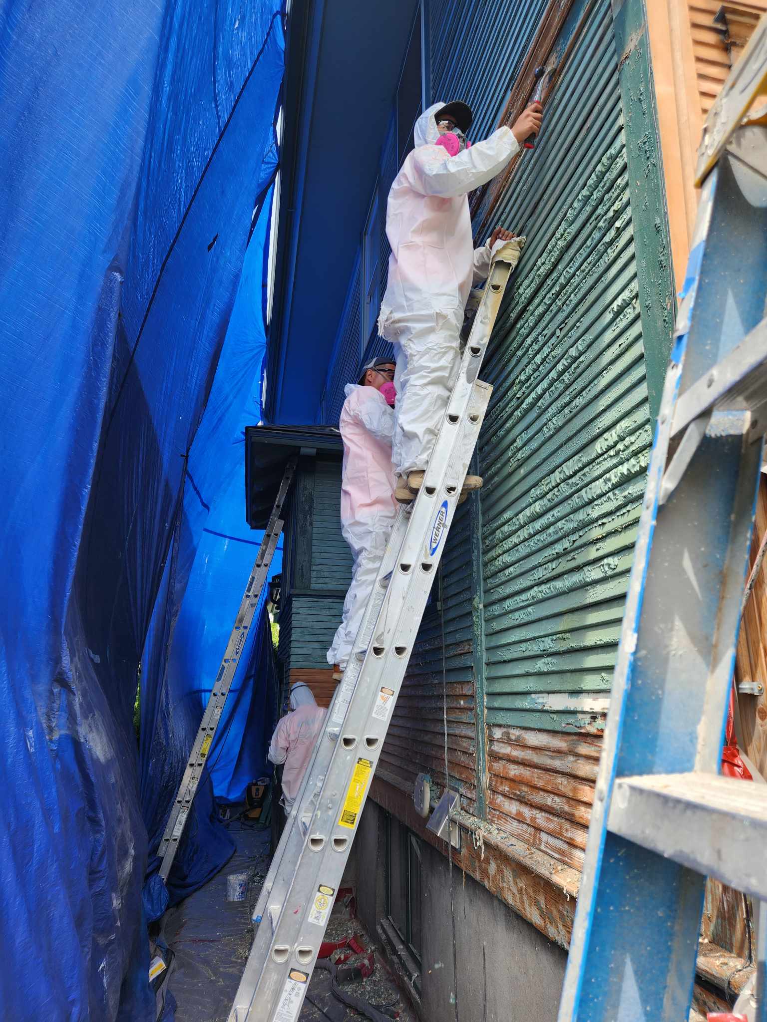 davida-painting-img93