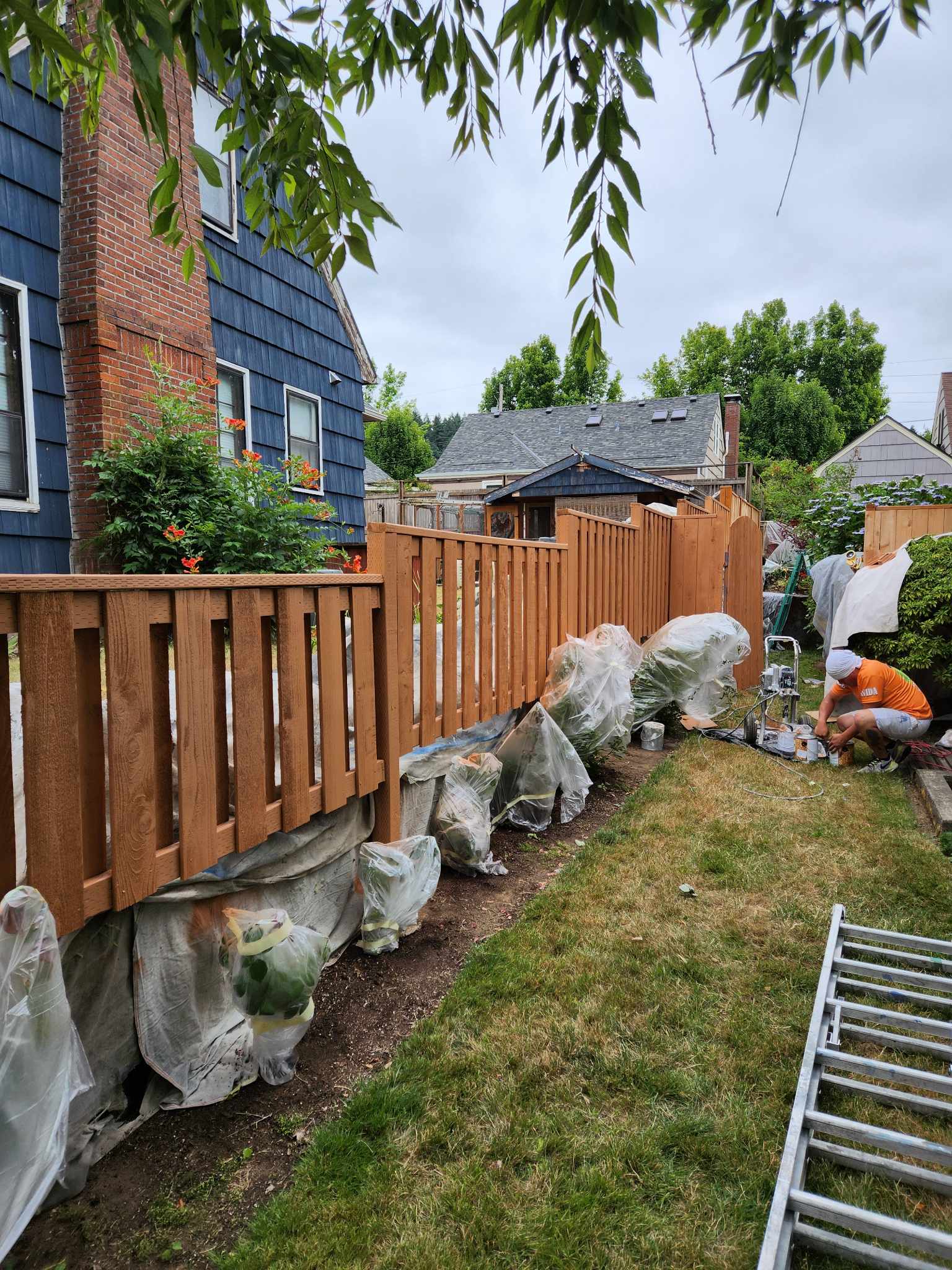 davida-painting-img94