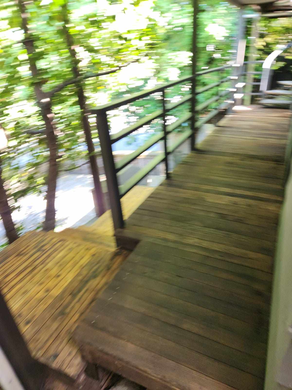 davida-painting-img95