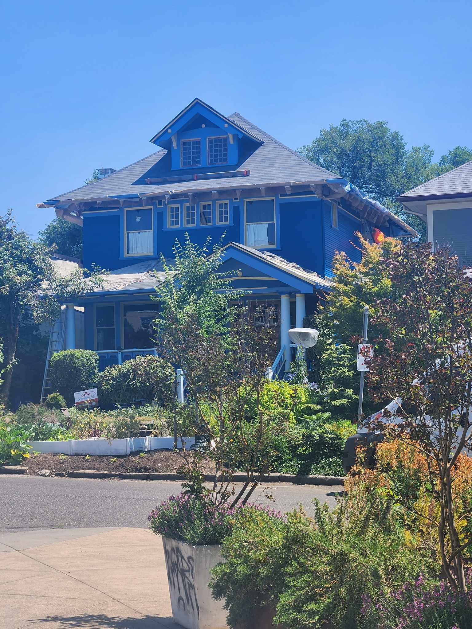 davida-painting-img96