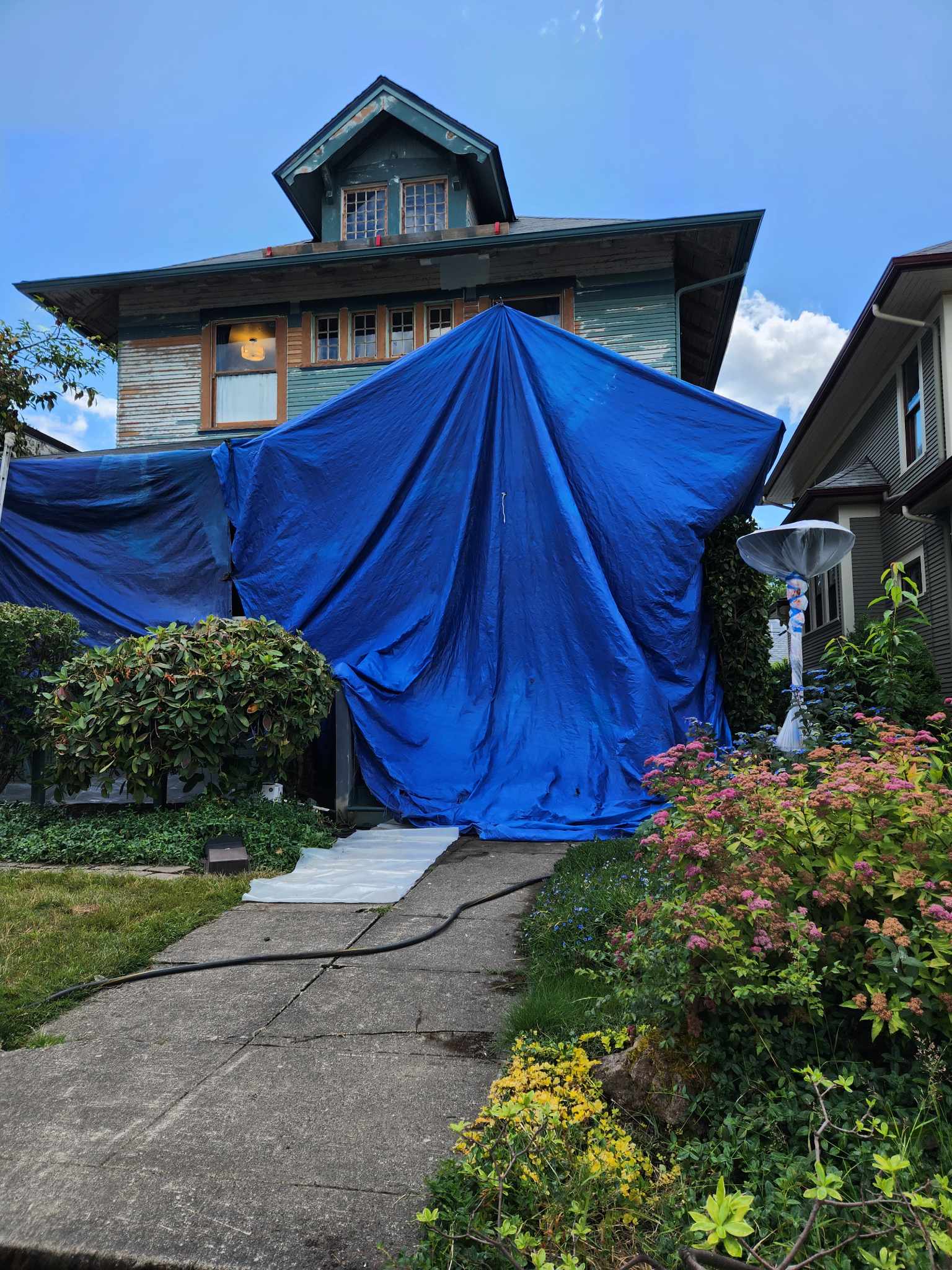 davida-painting-img88