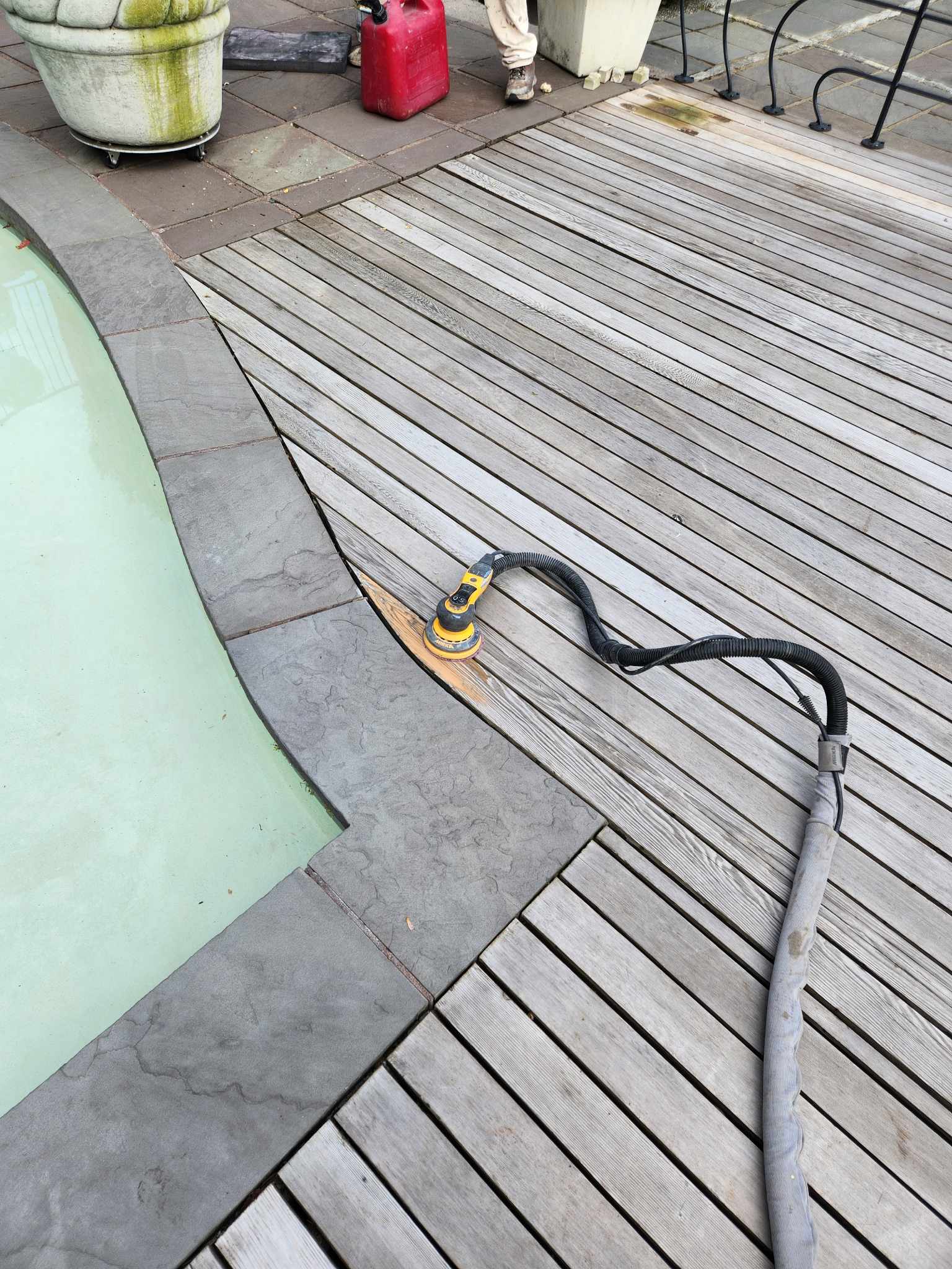 davida-painting-img85