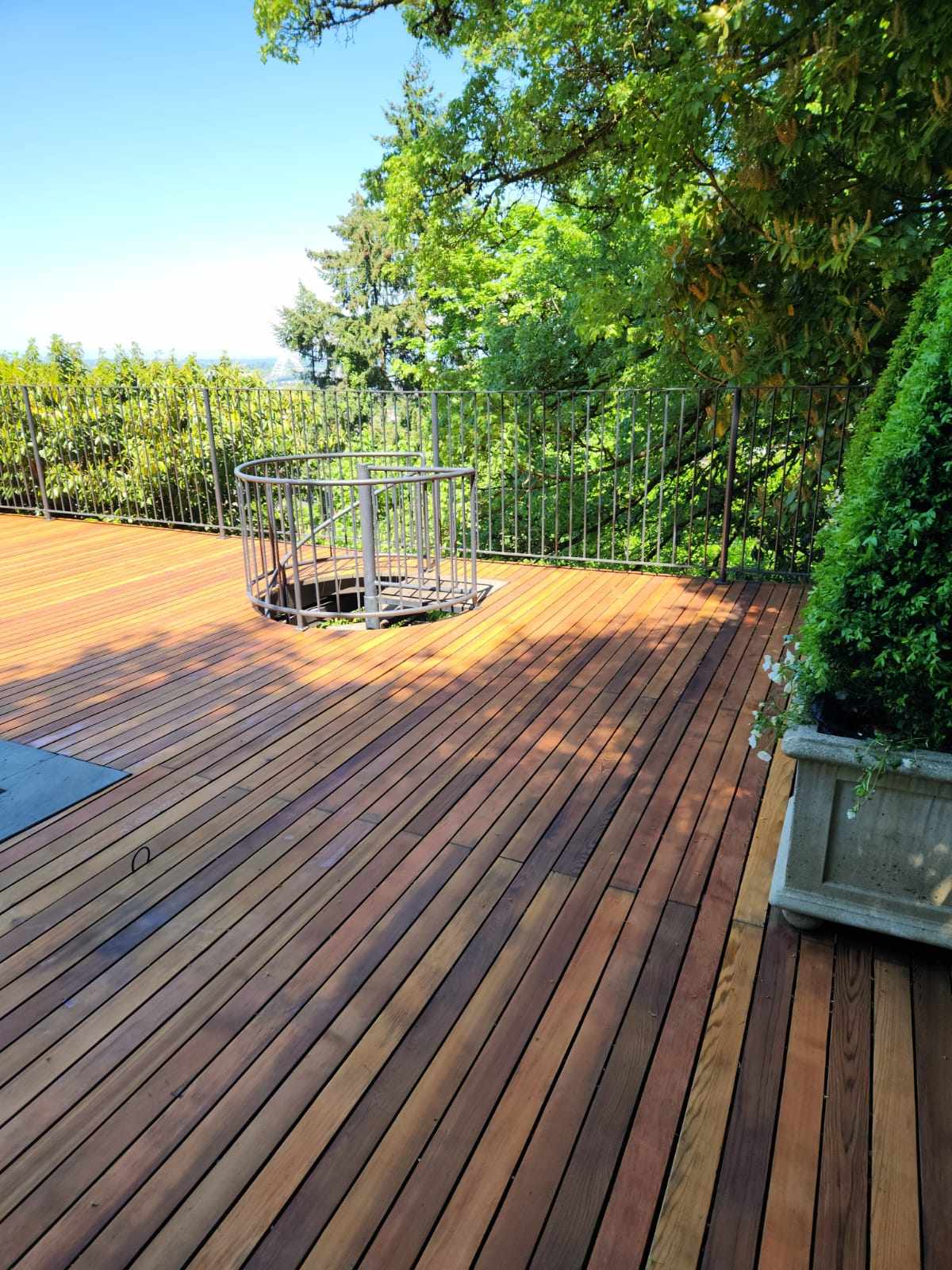 davida-painting-img84