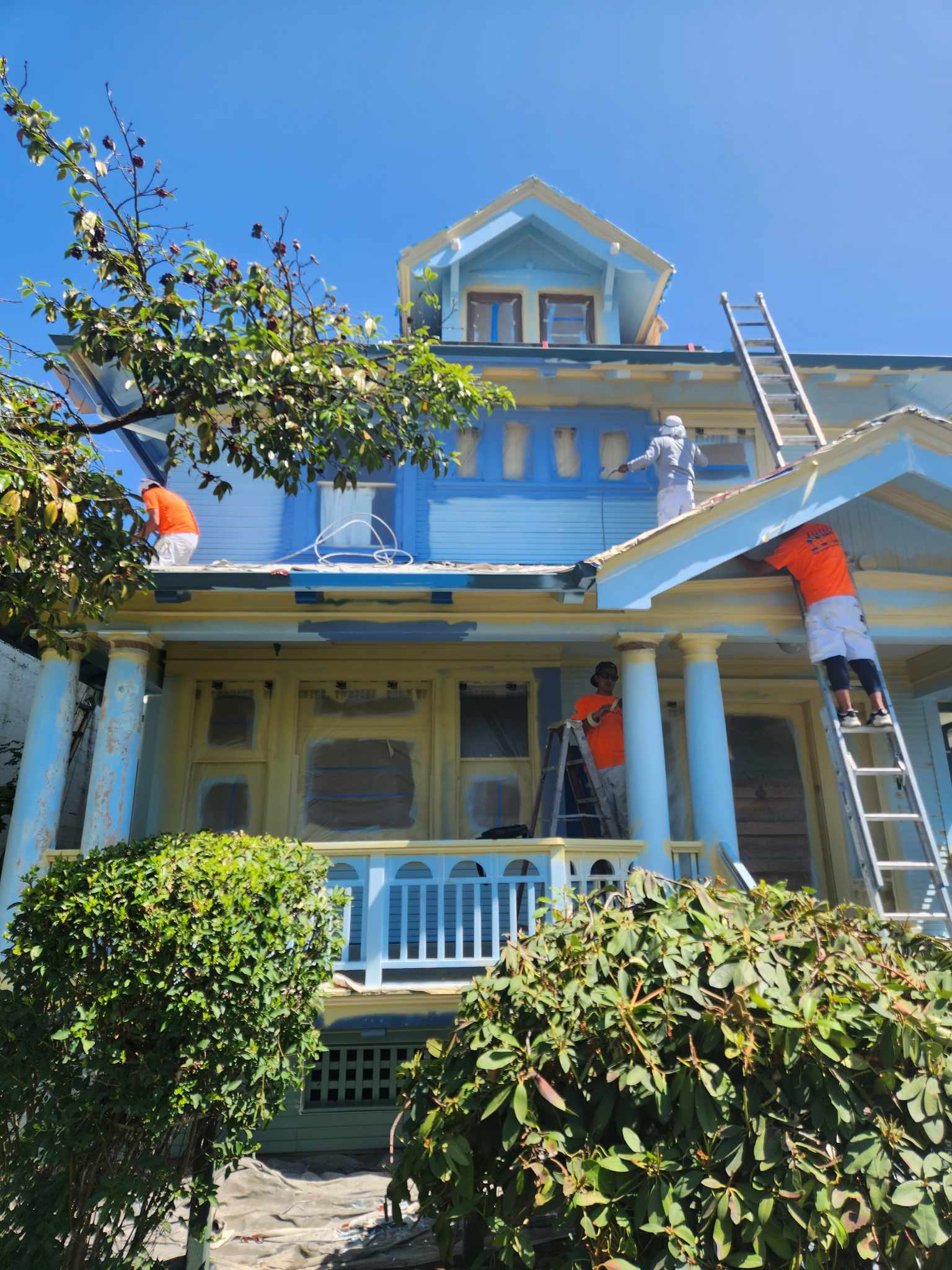 davida-painting-img80