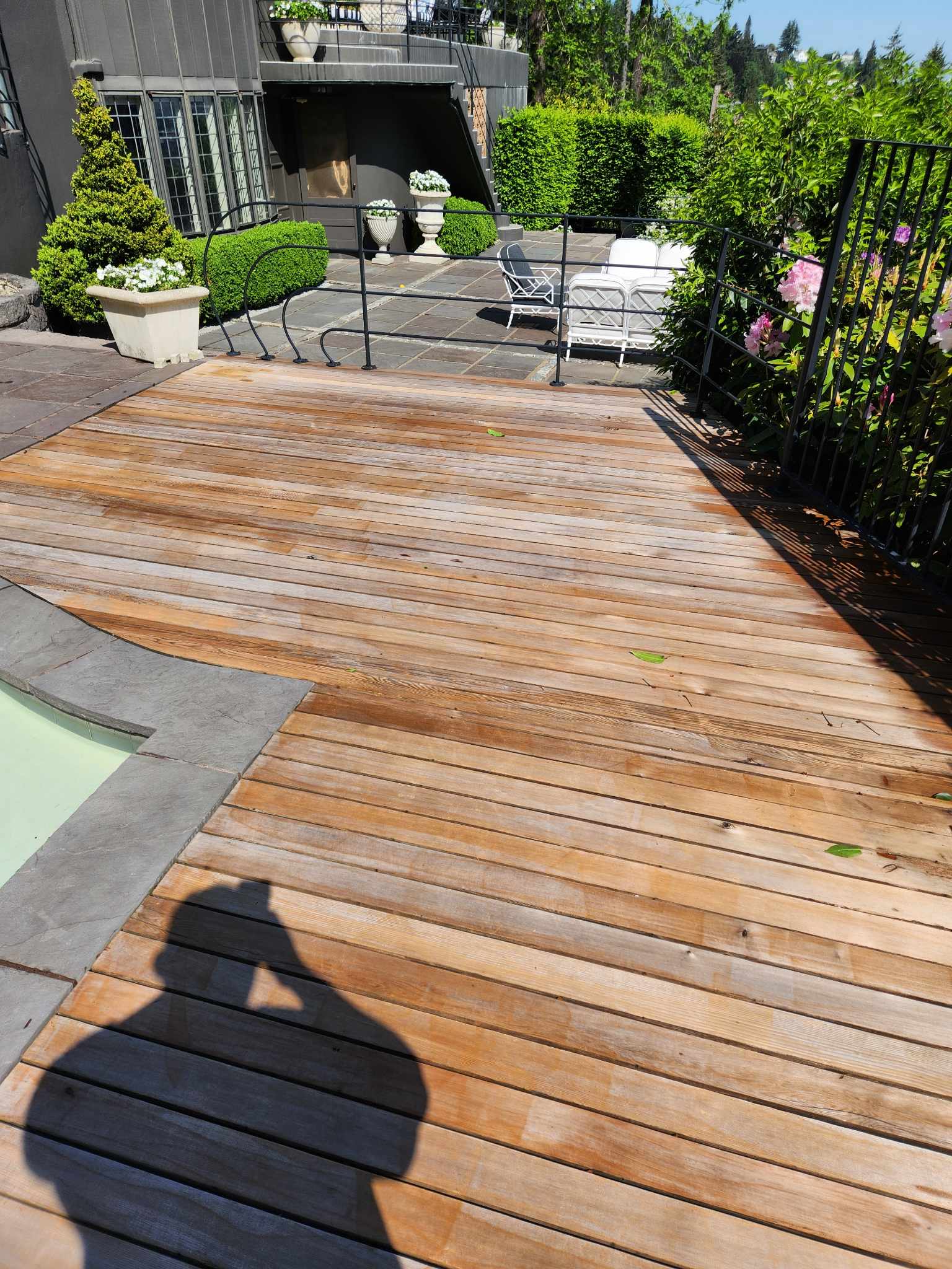 davida-painting-img78