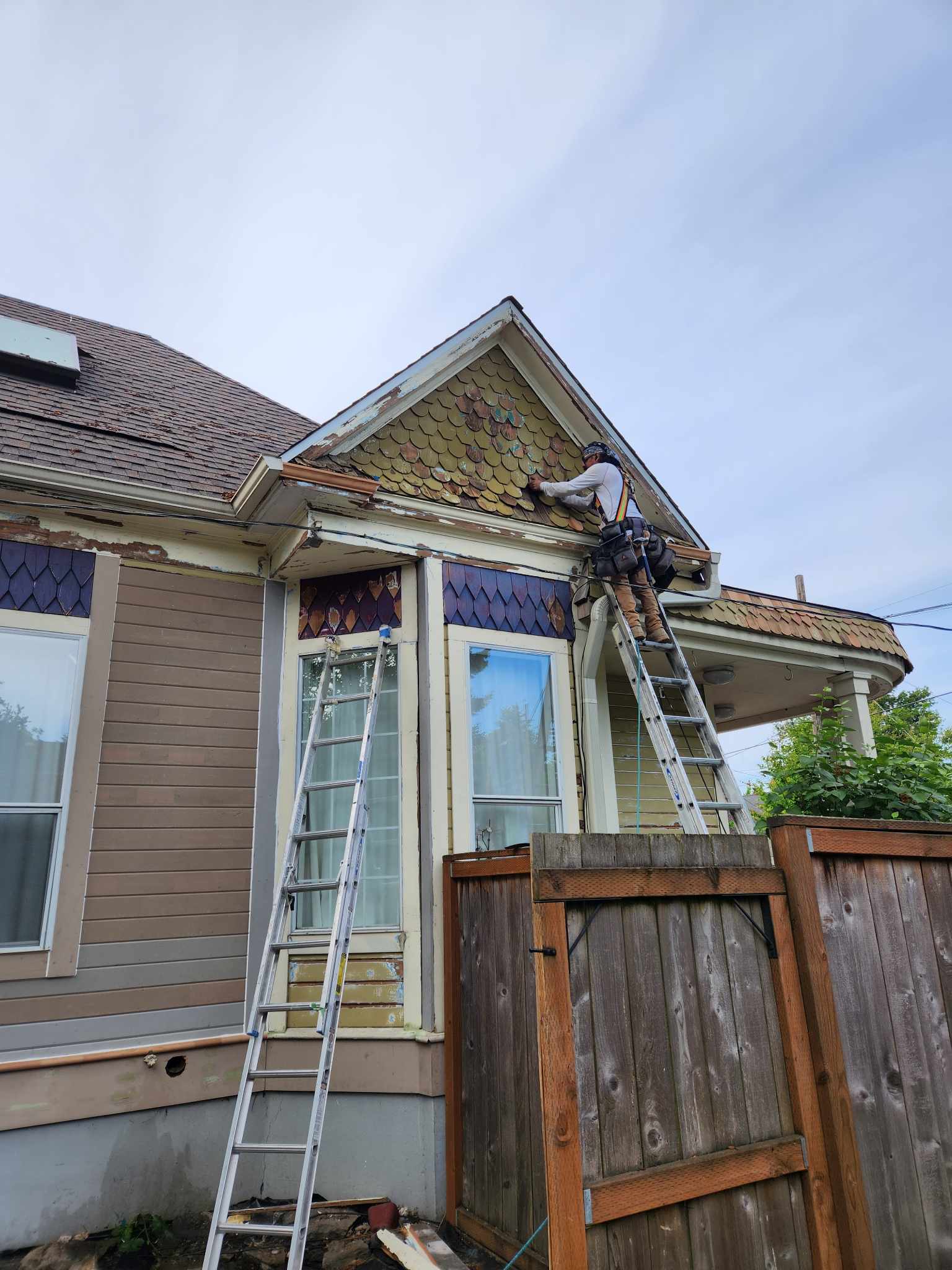 davida-painting-img76