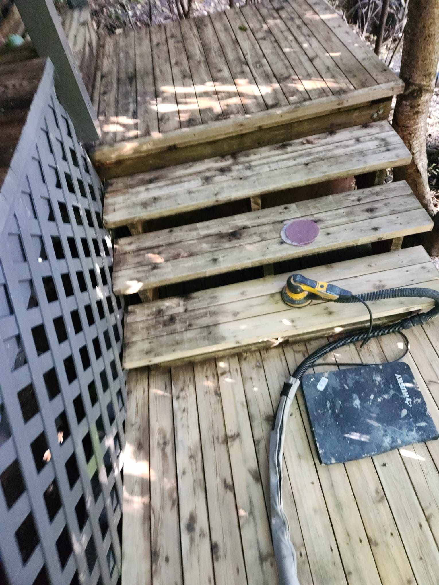 davida-painting-img73