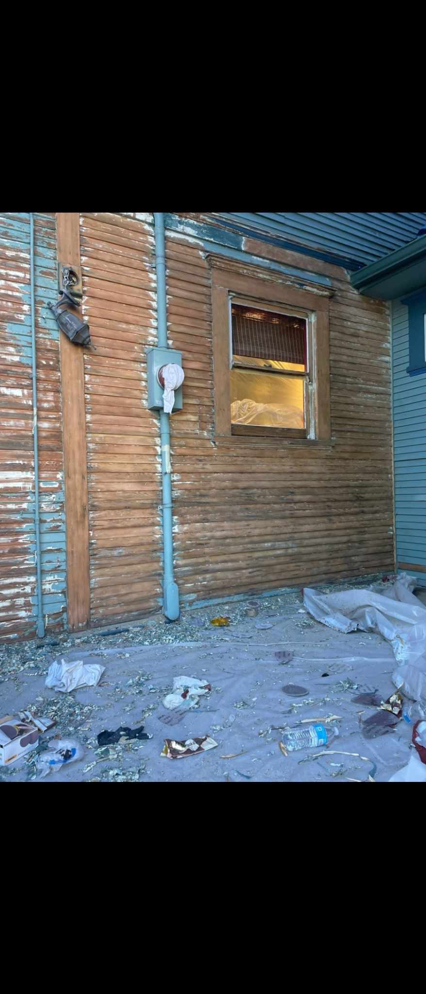 davida-painting-img72