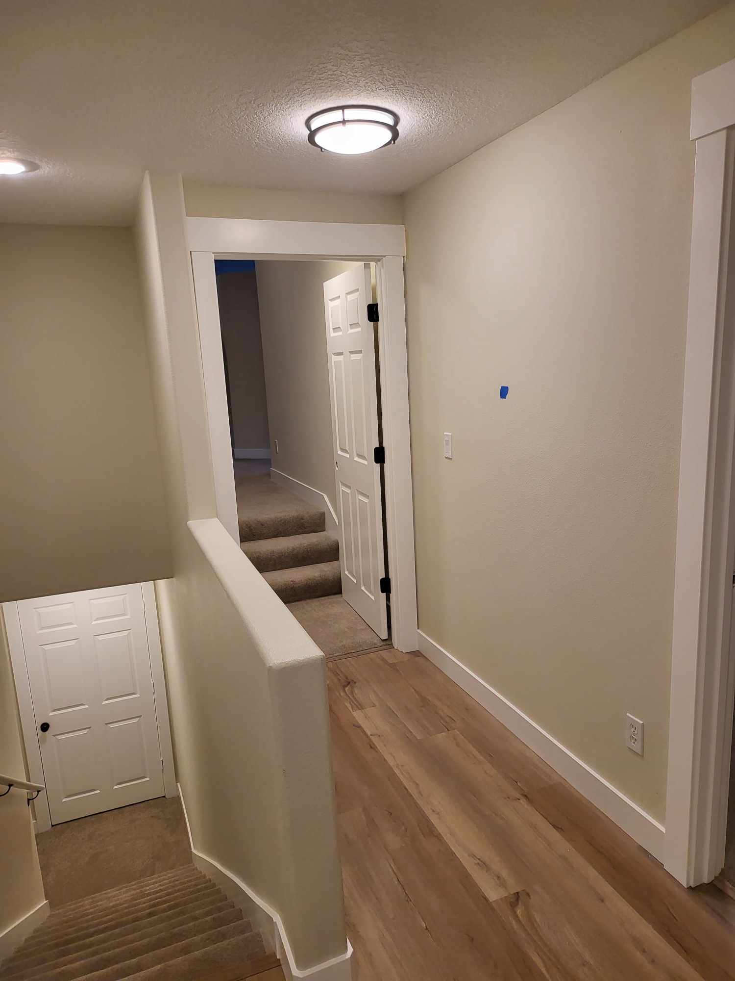 davida-painting-img227