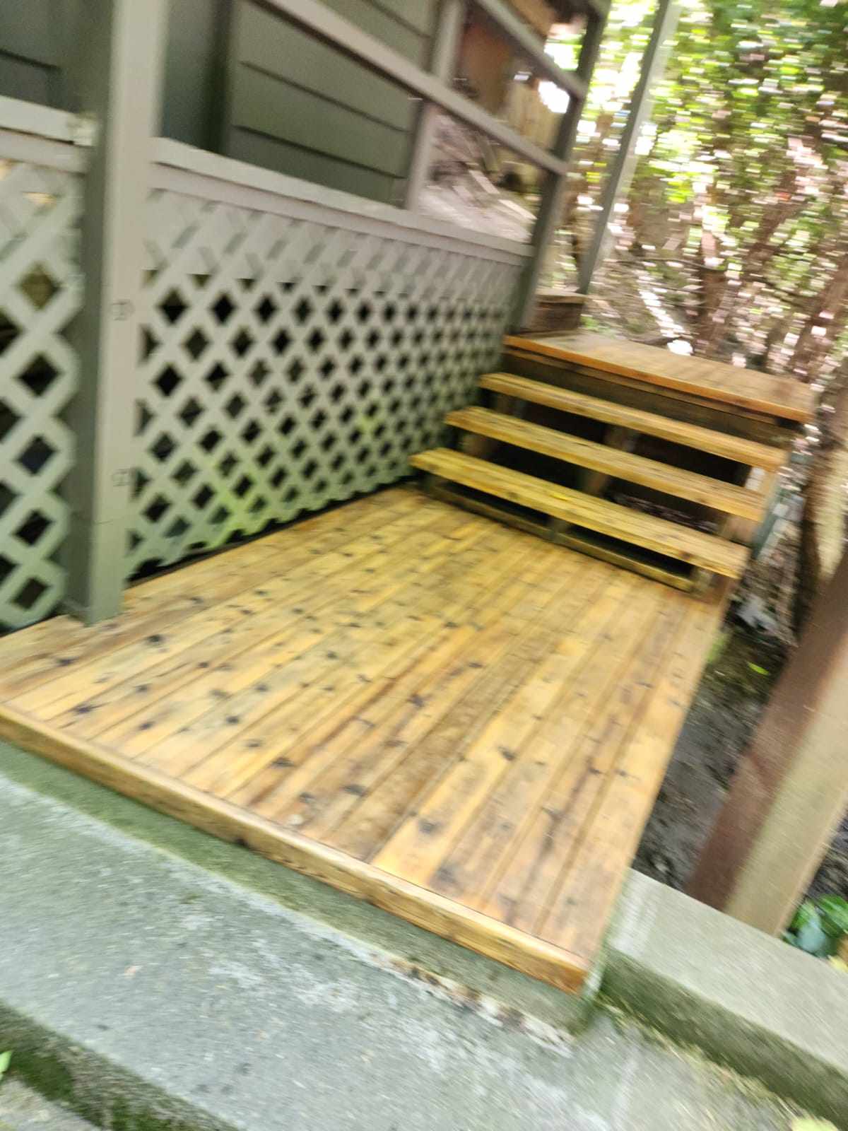 davida-painting-img66