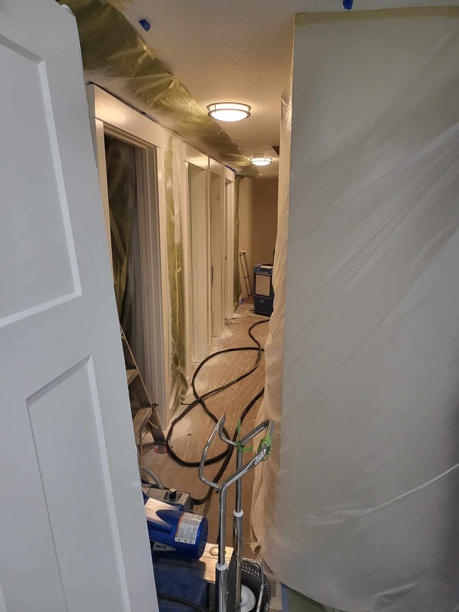 davida-painting-img229