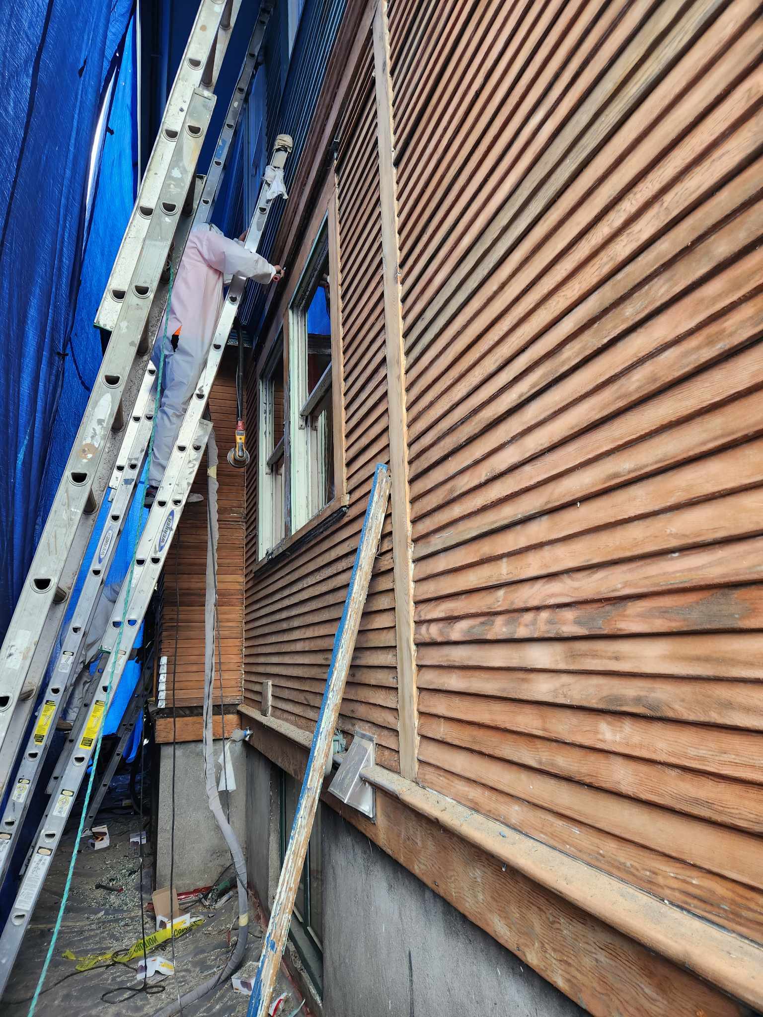 davida-painting-img62