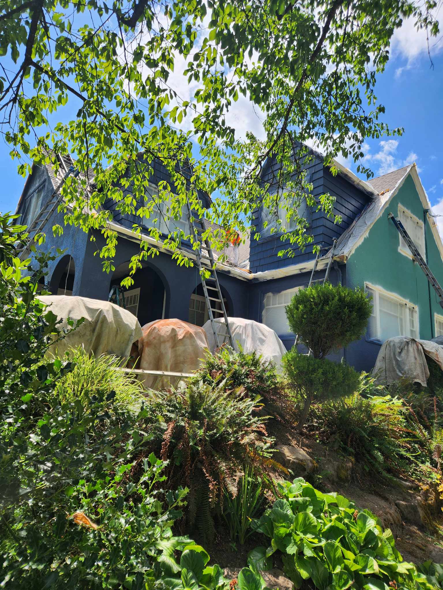 davida-painting-img60