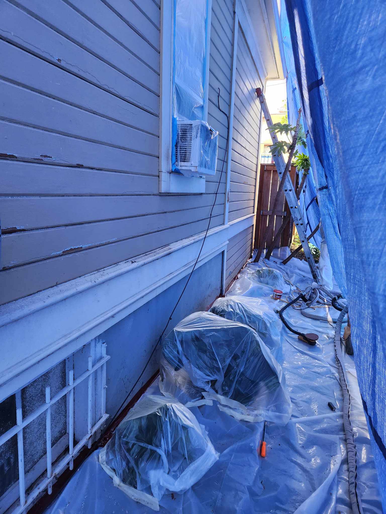 davida-painting-img59