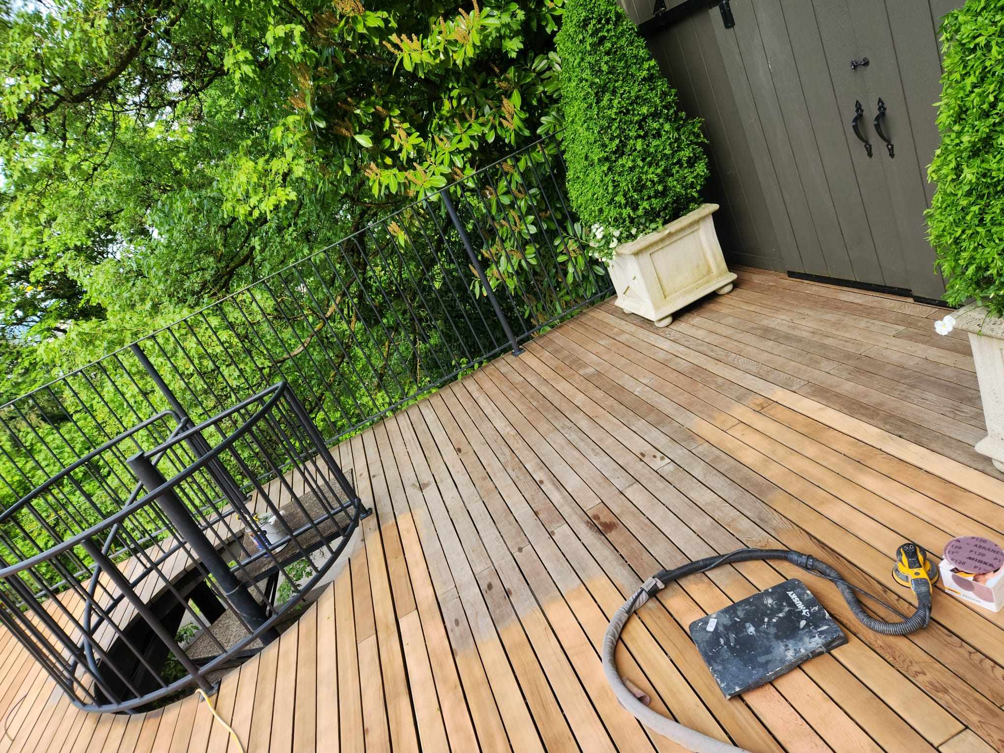 davida-painting-img57